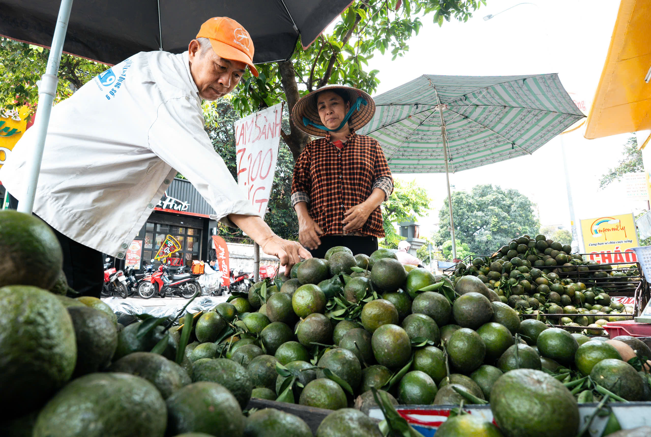 giá trái cây - Ảnh 2.