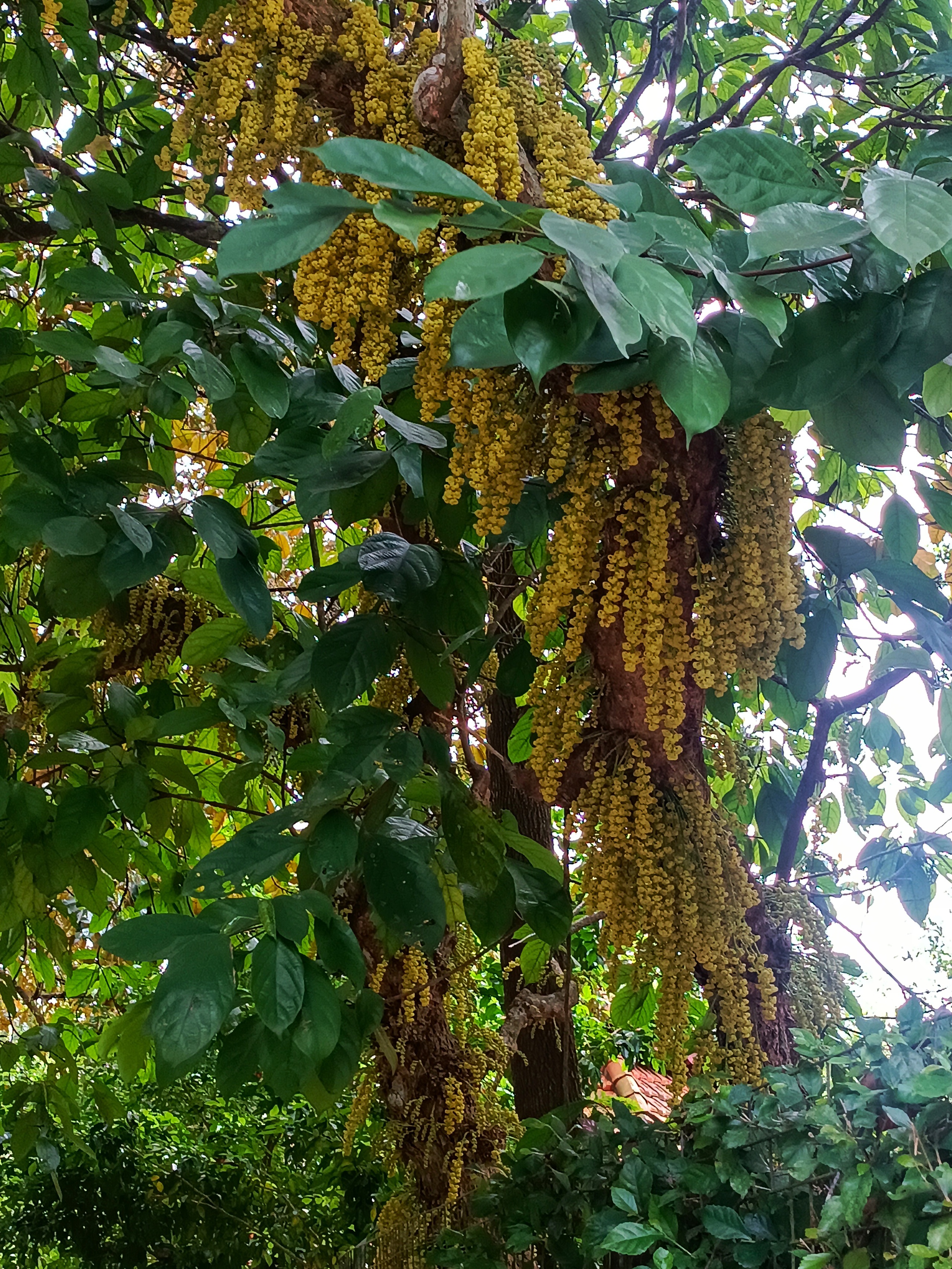 Làng cổ Thủy Biểu - Ảnh 3.