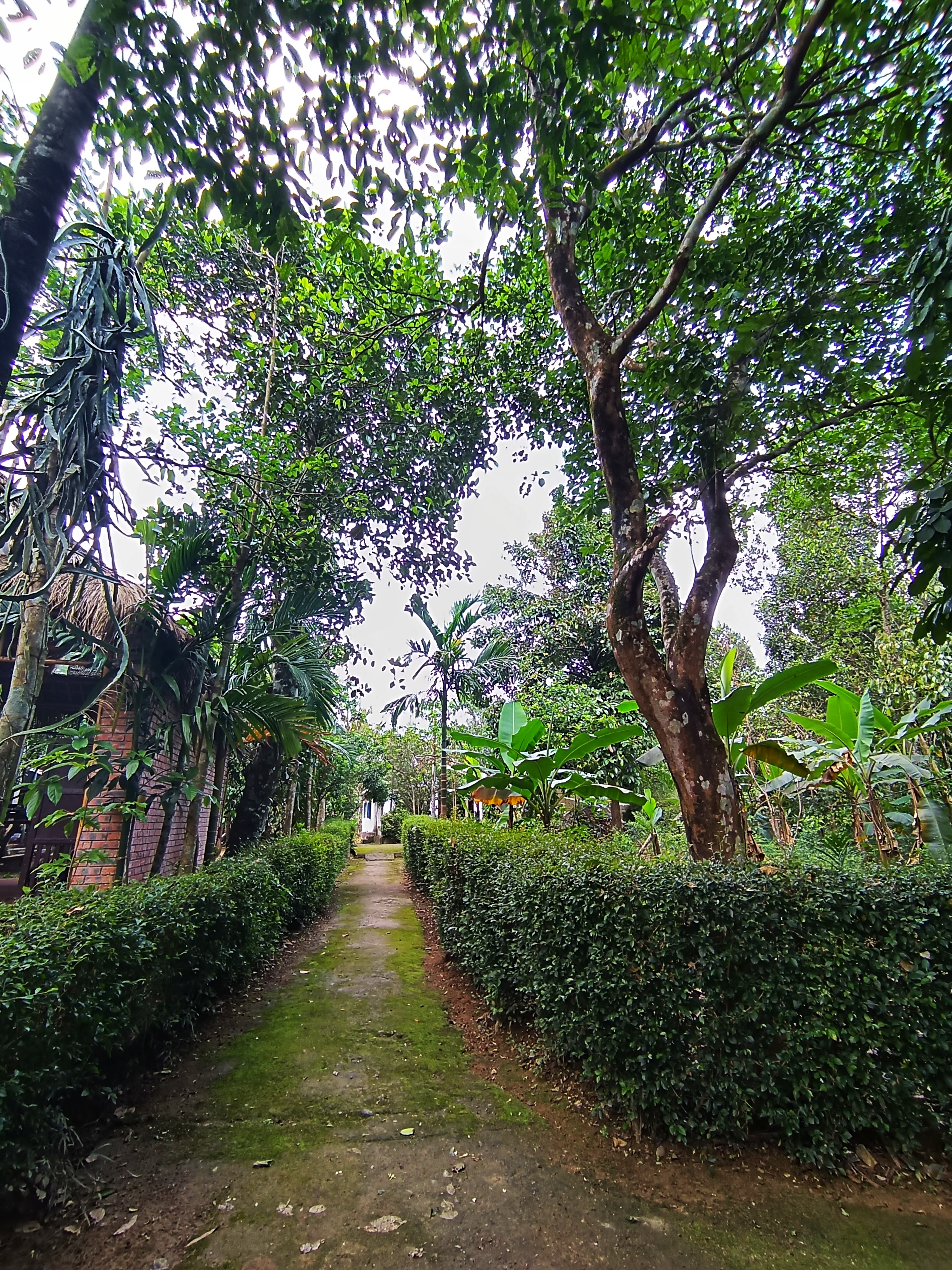 Mùa xuân về Huế, thong dong ở làng Thủy Biều cổ xưa - Ảnh 1.