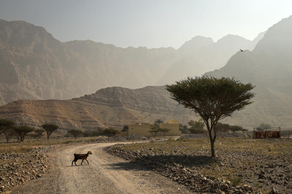 Planet trapped record heat in 2025: UN- Ảnh 5.