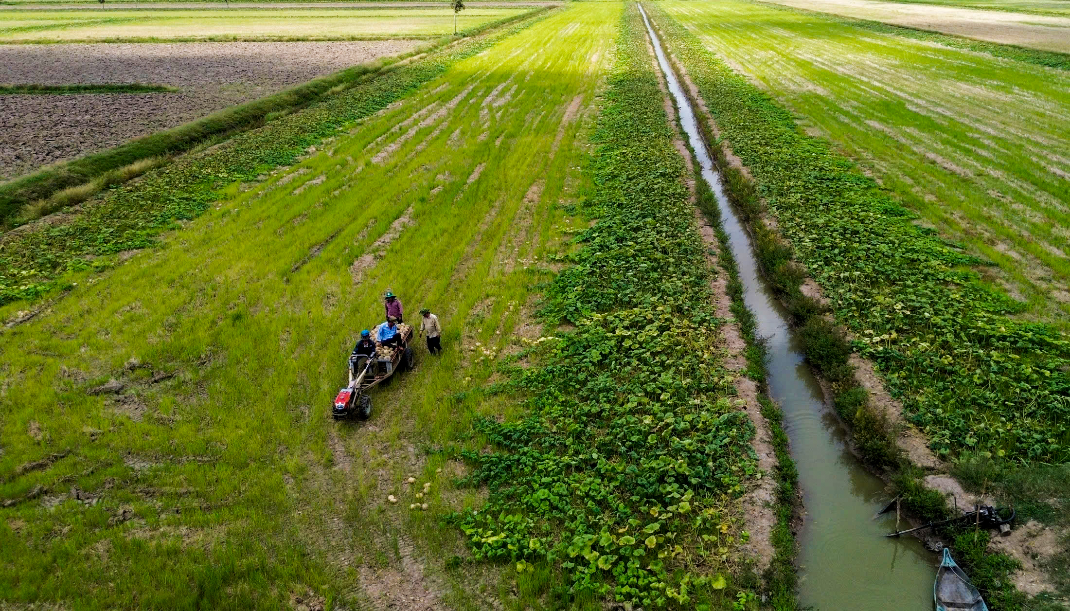 giải cứu - Ảnh 2.