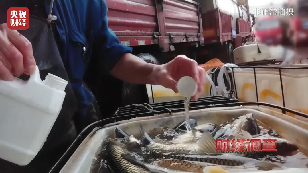 Trung Quốc - Ảnh 1.