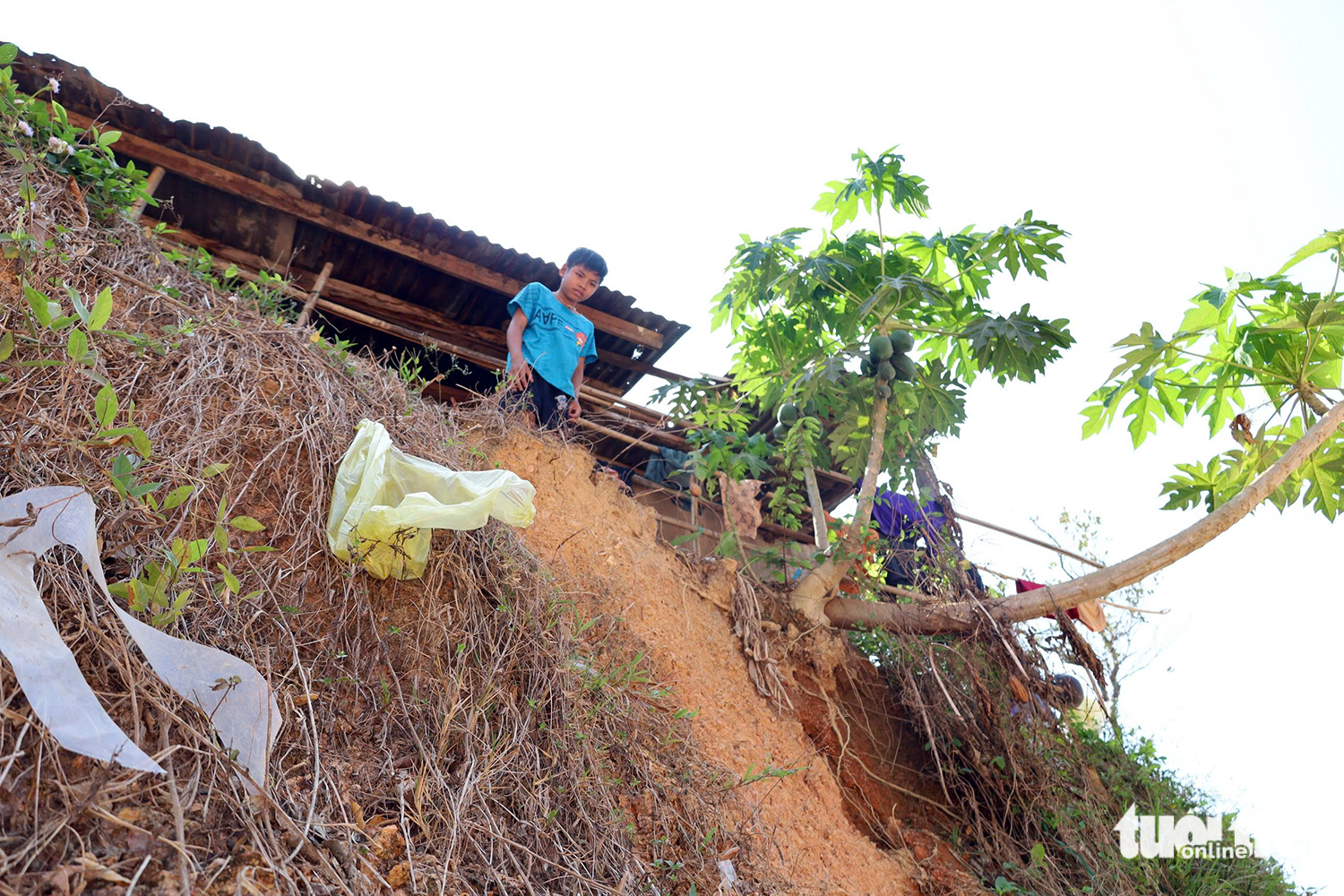 hạ cốt nền - Ảnh 2.