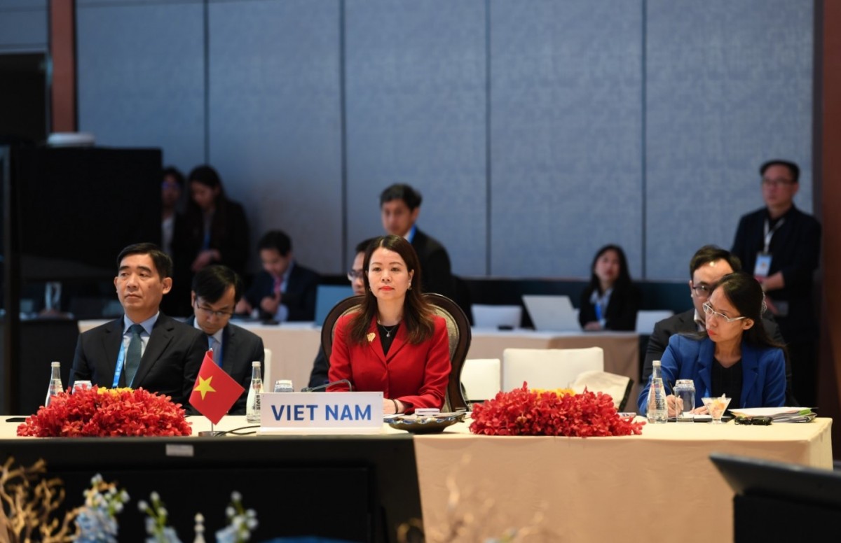 Tổng lãnh sự Đường Lập: 'Cùng chung tay vẽ nên bức tranh mới cho hợp tác Lan Thương - Mekong' - Ảnh 3.