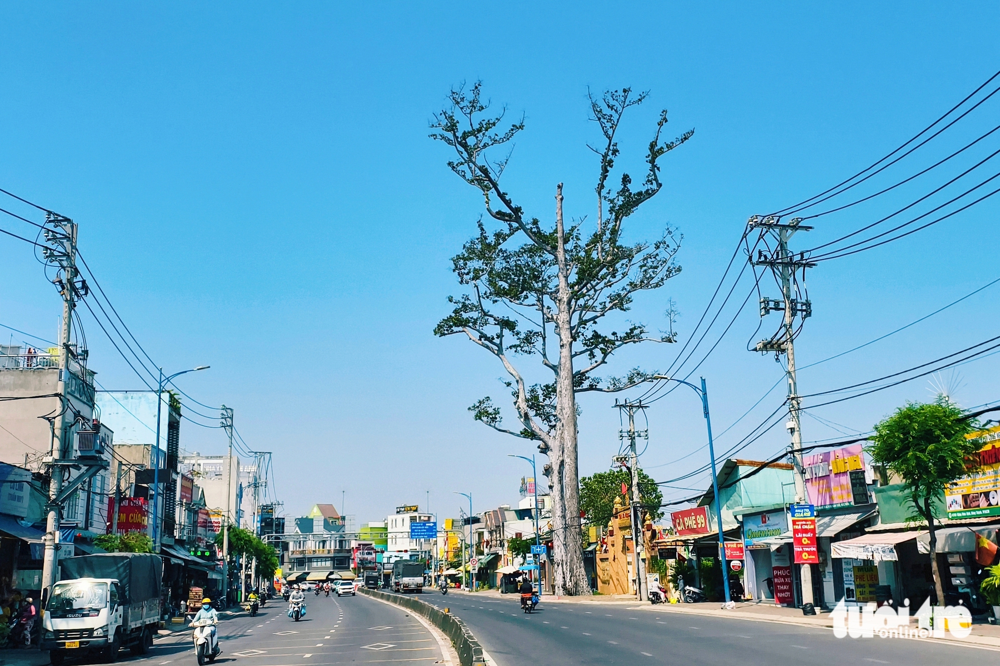 Đông Thạnh - Ảnh 1.