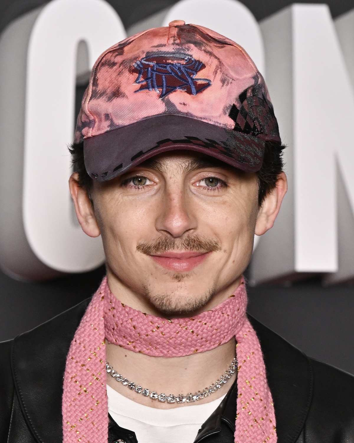 Timothée Chalamet - Ảnh 7.