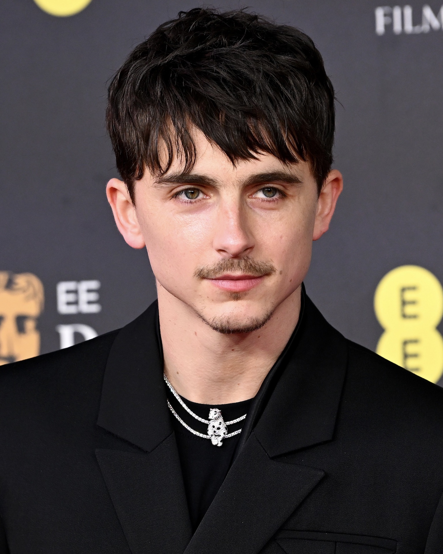Timothée Chalamet - Ảnh 6.