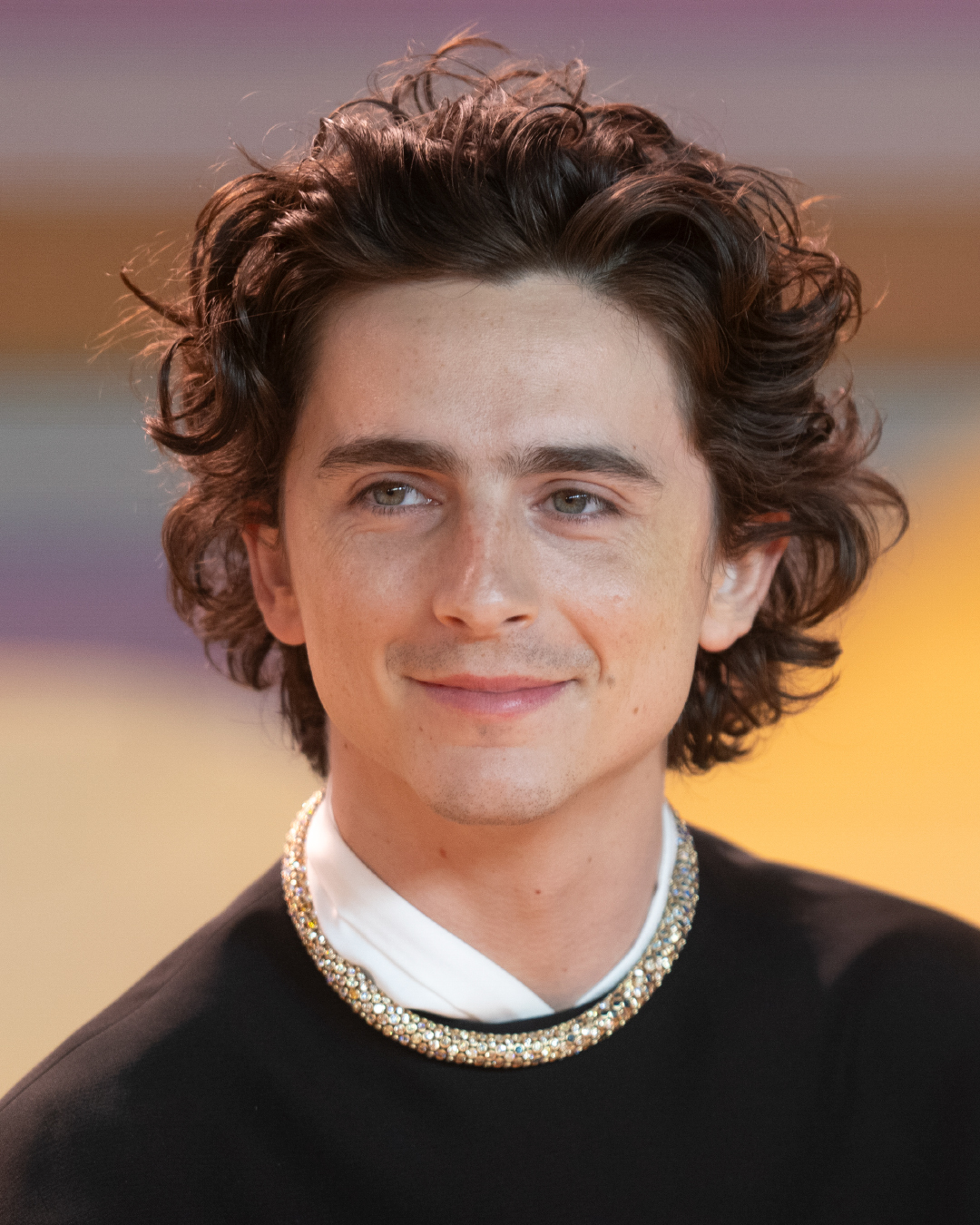 Timothée Chalamet - Ảnh 8.