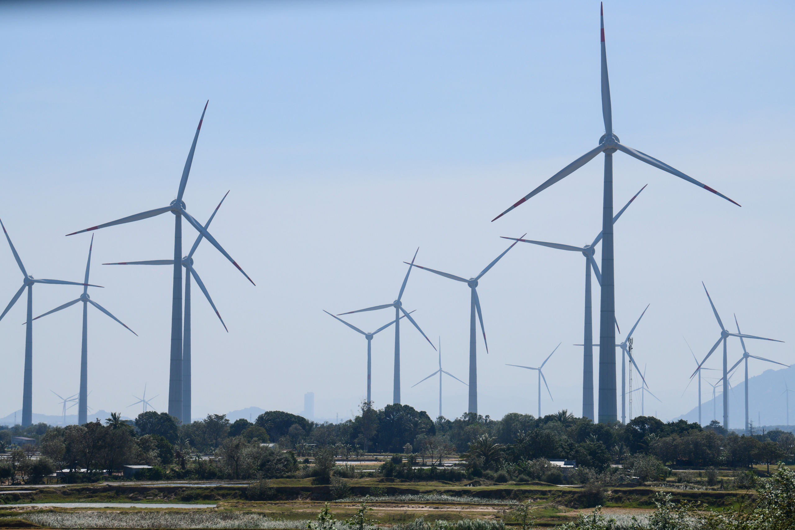 xăng dầu - Ảnh 2.