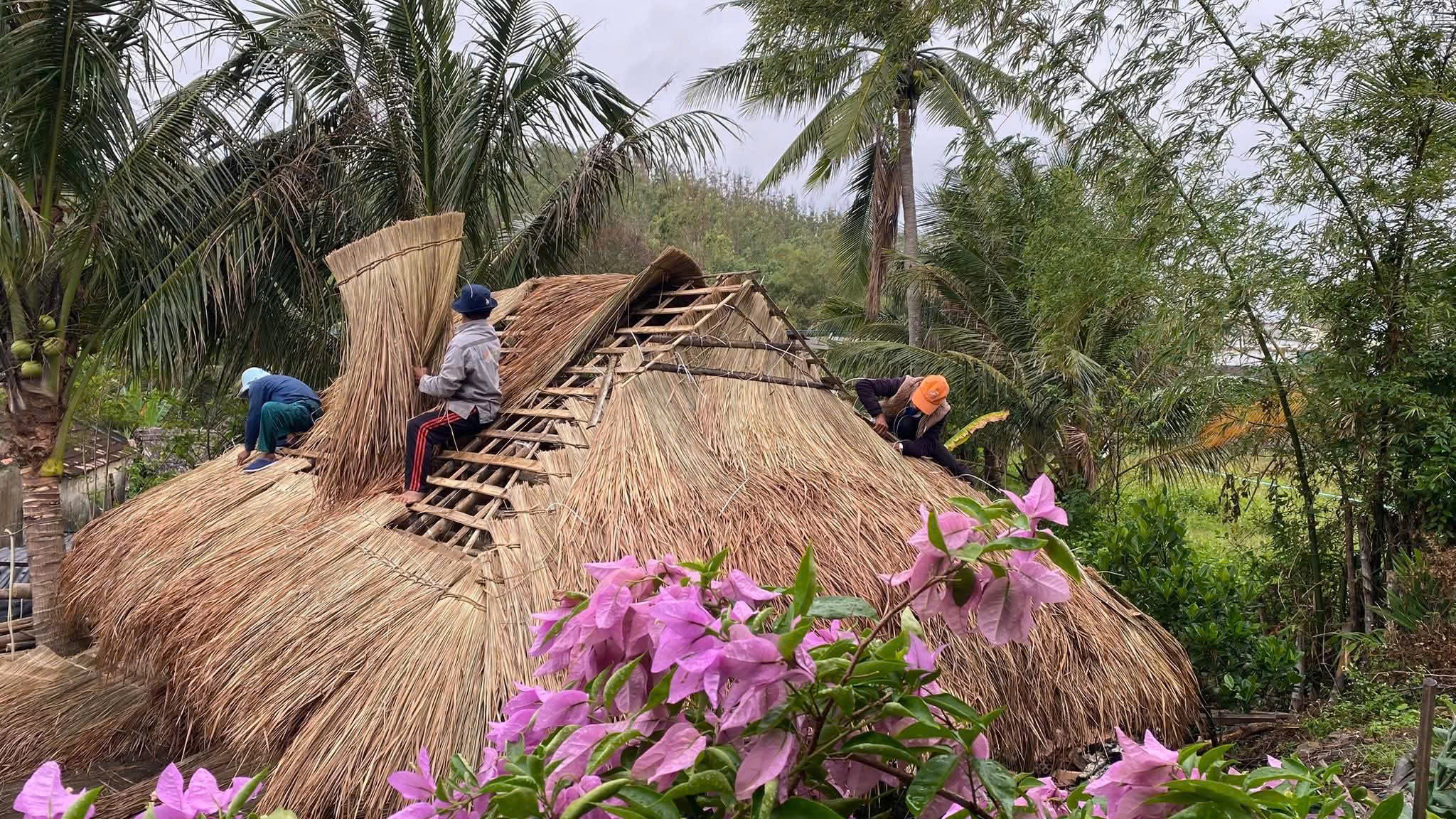 nhà tranh - Ảnh 2.