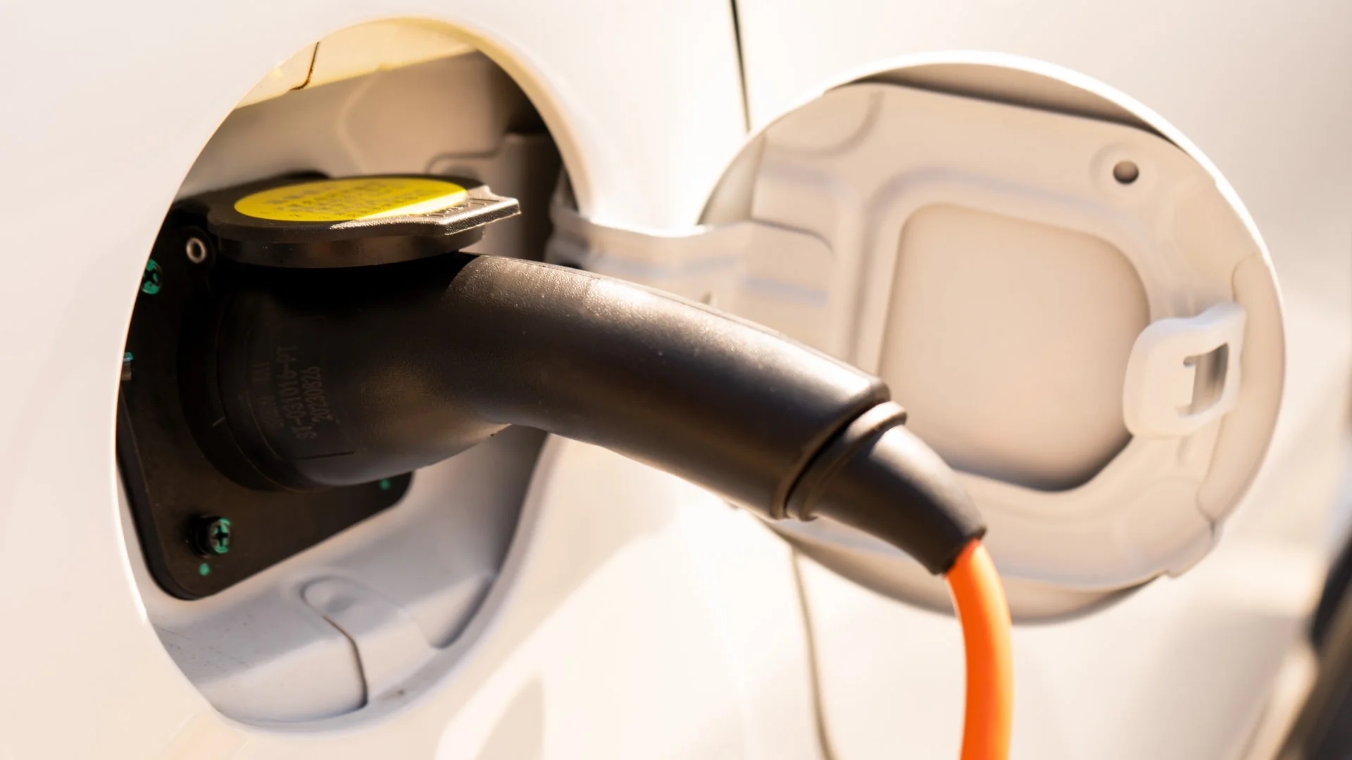 xe điện mini - Ảnh 15.