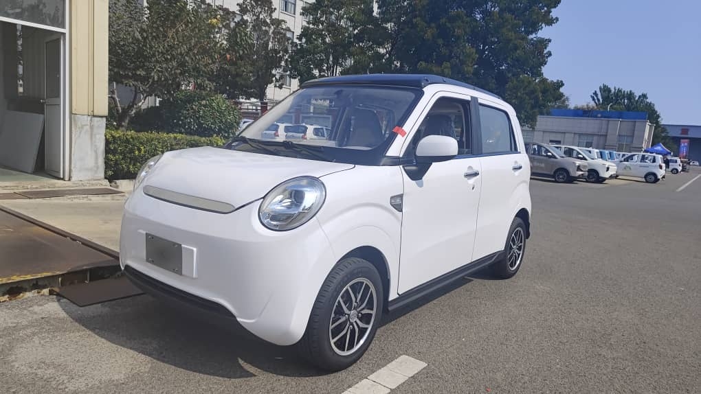 xe điện mini - Ảnh 19.