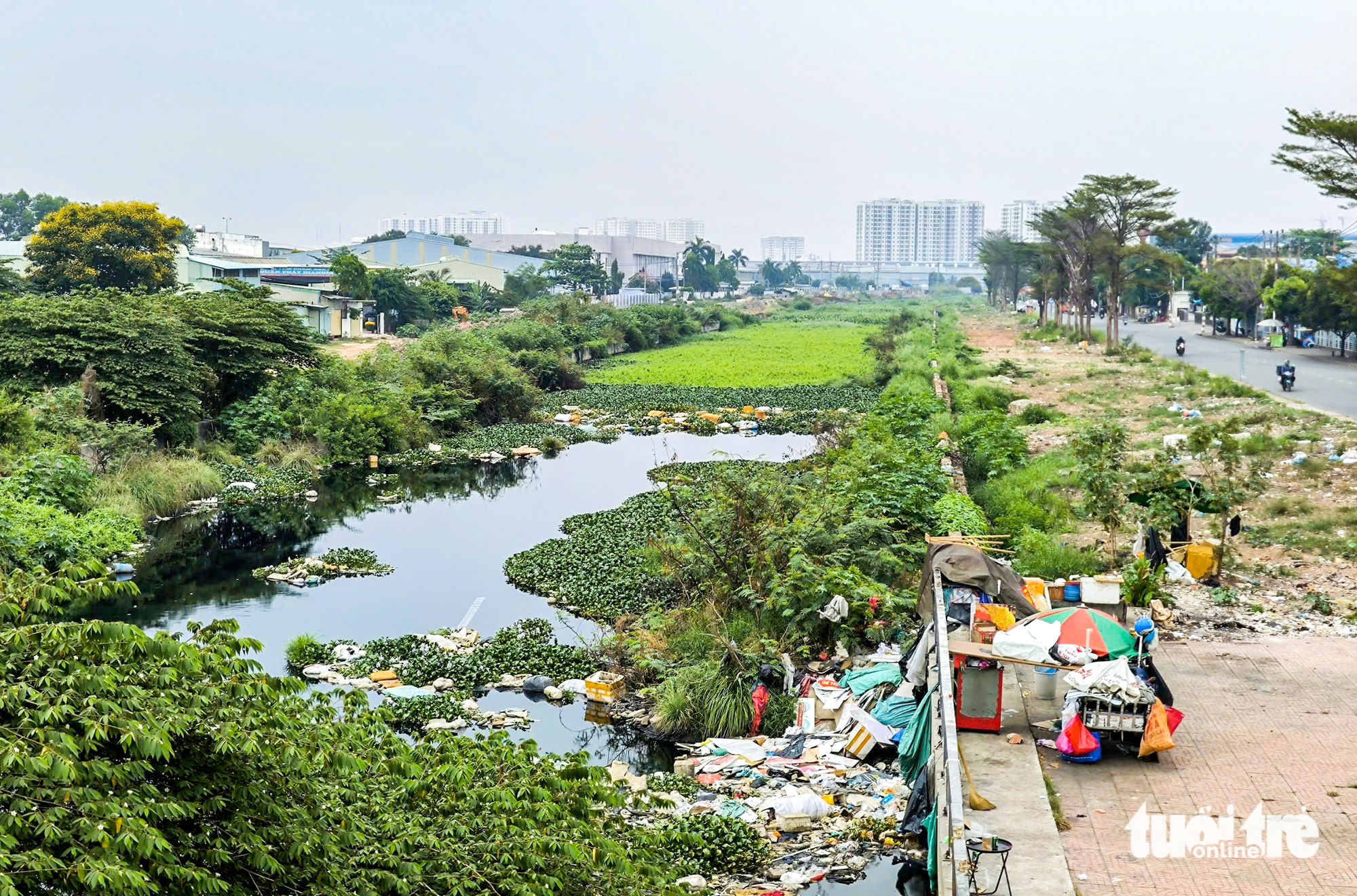 kênh Tham Lương - Bến Cát - Ảnh 1.