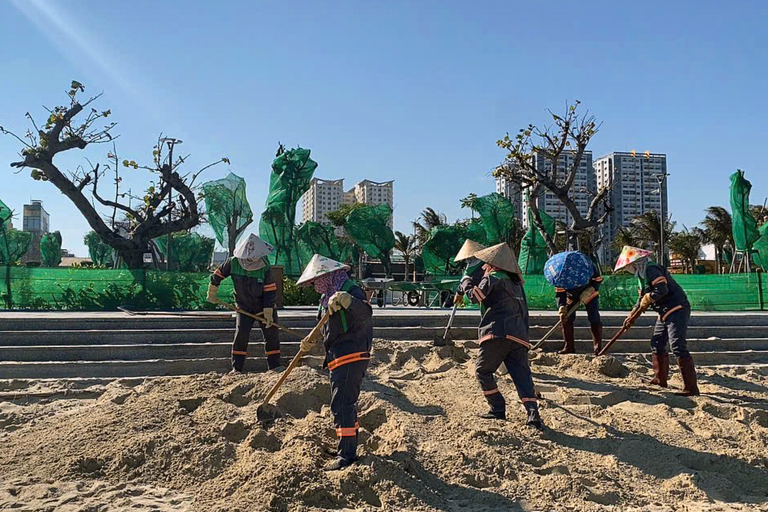 công viên - Ảnh 7.