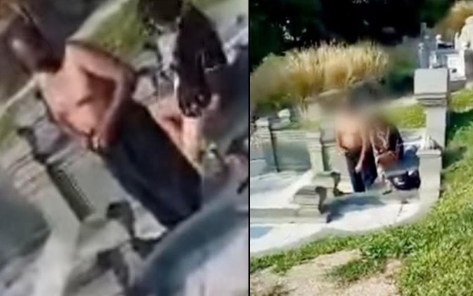 Sự thật phía sau video 'bầy chó trốn kẻ trộm trên cao tốc' đang viral - Ảnh 1.