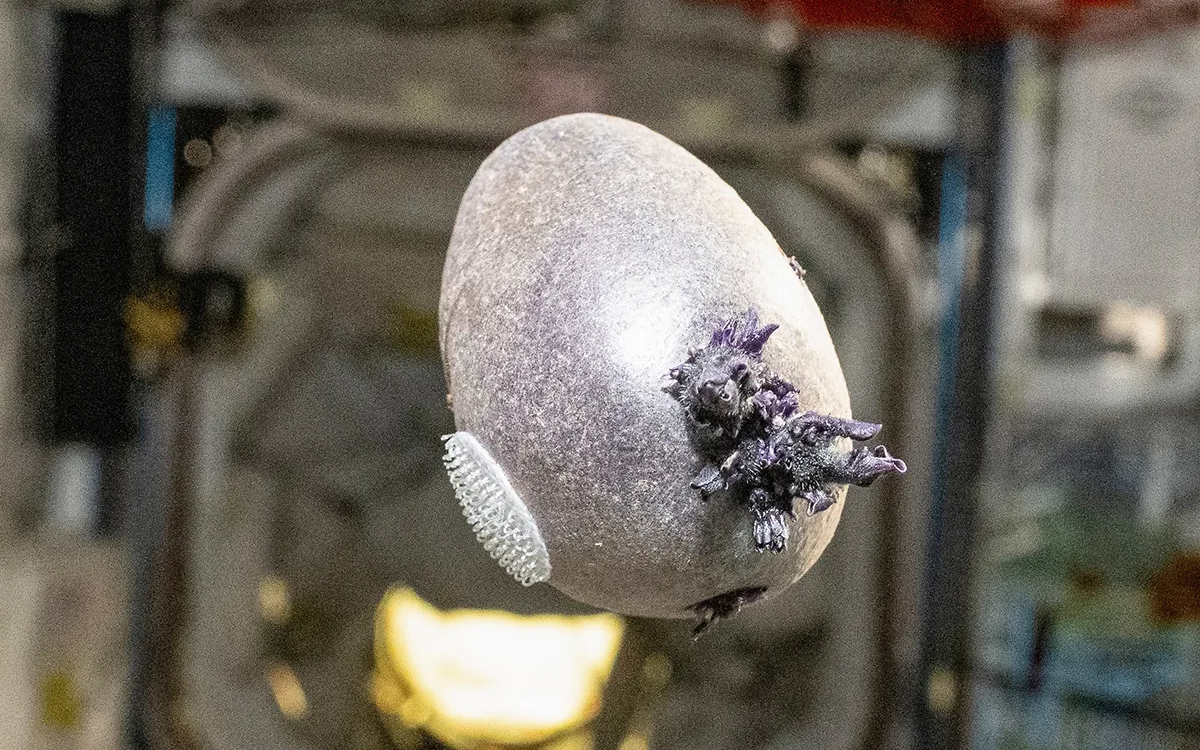 Bầu trời nước Úc 'đỏ như máu' như ngay trước cơn bão - Ảnh 1.