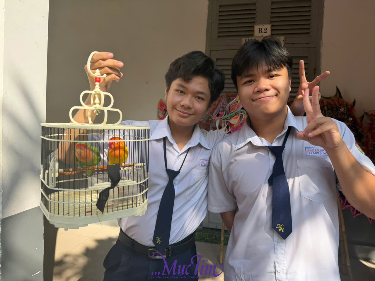 Trường THPT Nguyễn Hiền mở photobooth, mang chim vẹt cảnh đến Ngày hội Tự tin vào lớp 10 - Ảnh 5.