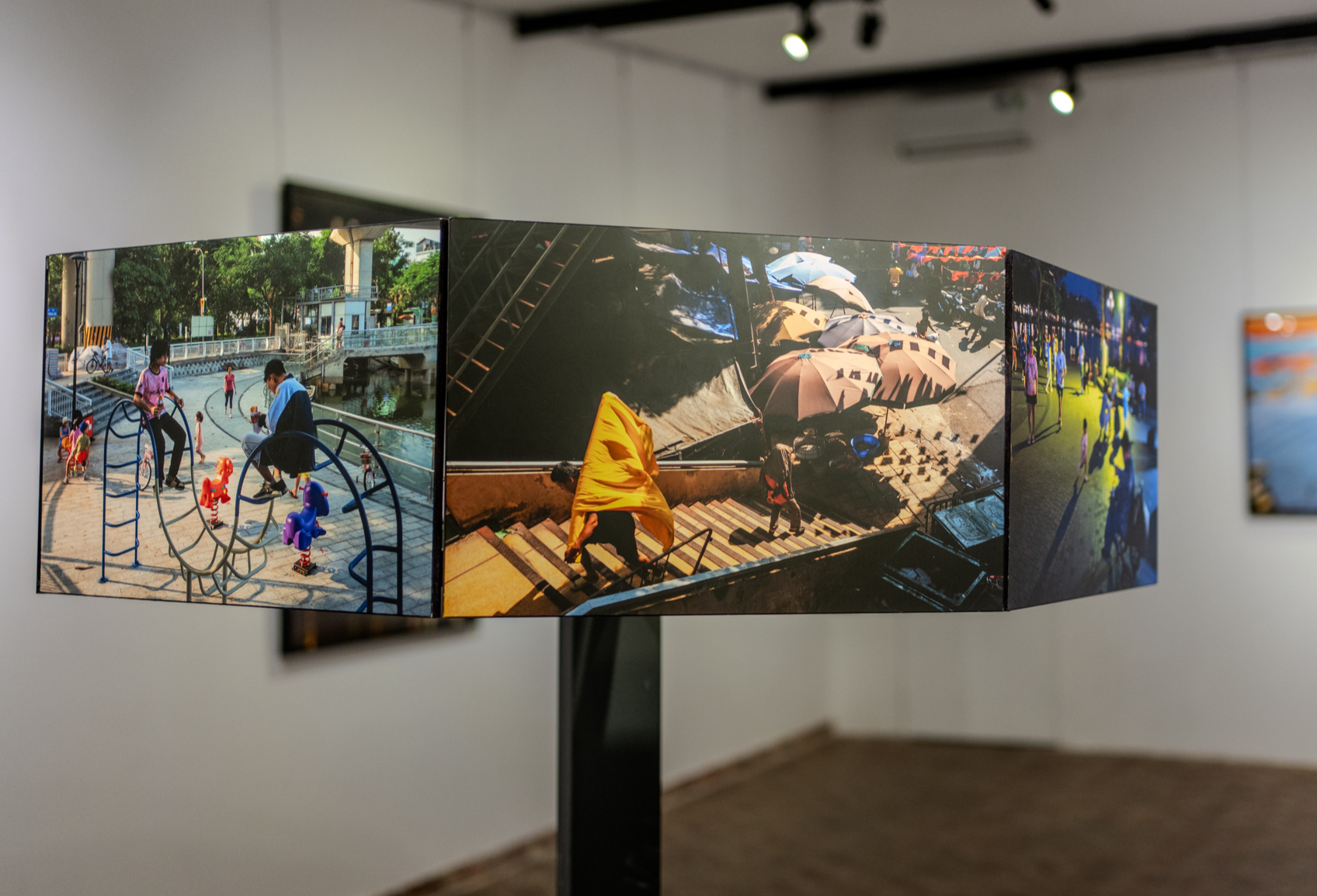 Nhiếp ảnh gia - Ảnh 2.