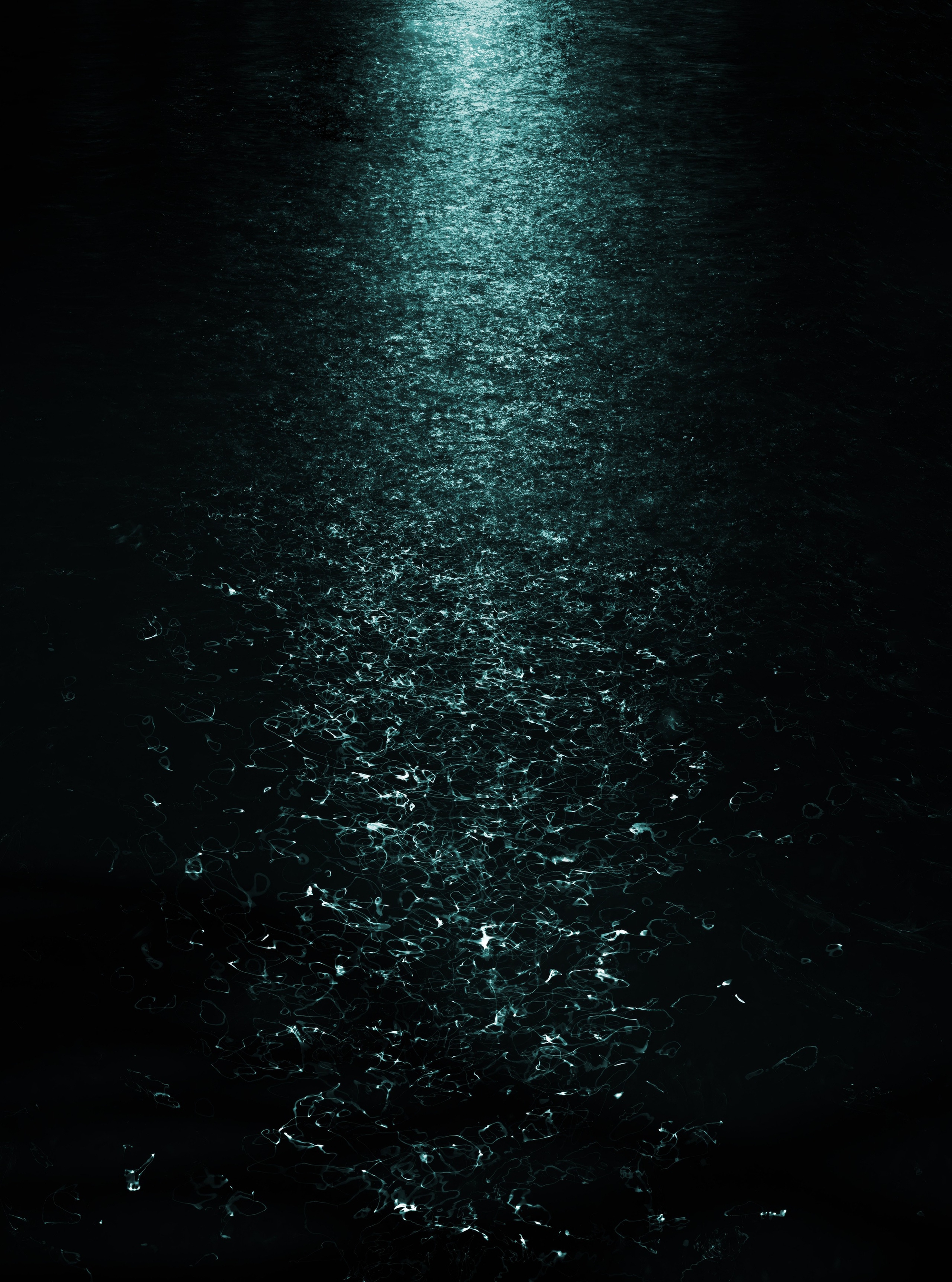 Nhiếp ảnh gia - Ảnh 3.