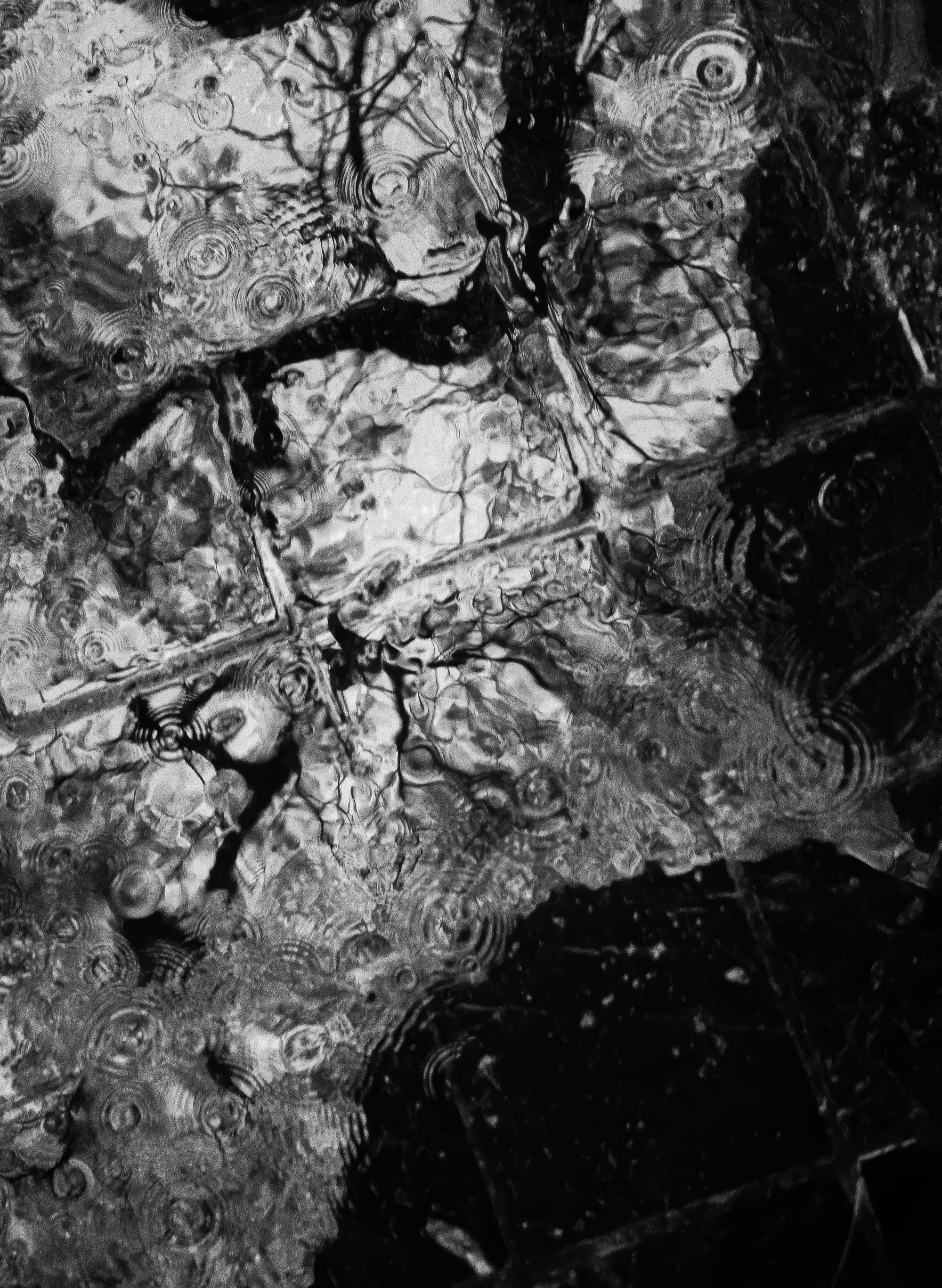 Nhiếp ảnh gia - Ảnh 4.