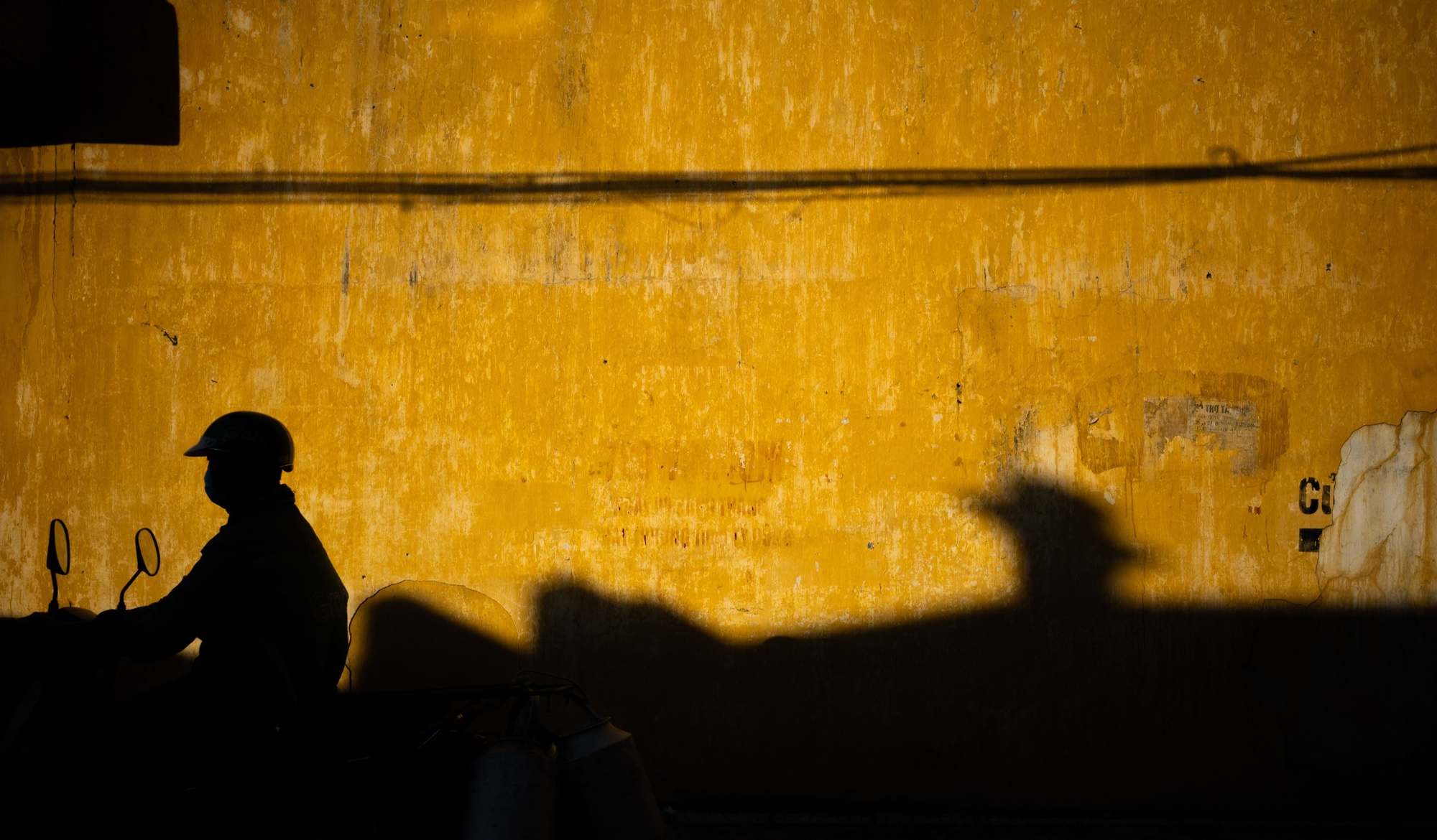 Nhiếp ảnh gia - Ảnh 7.