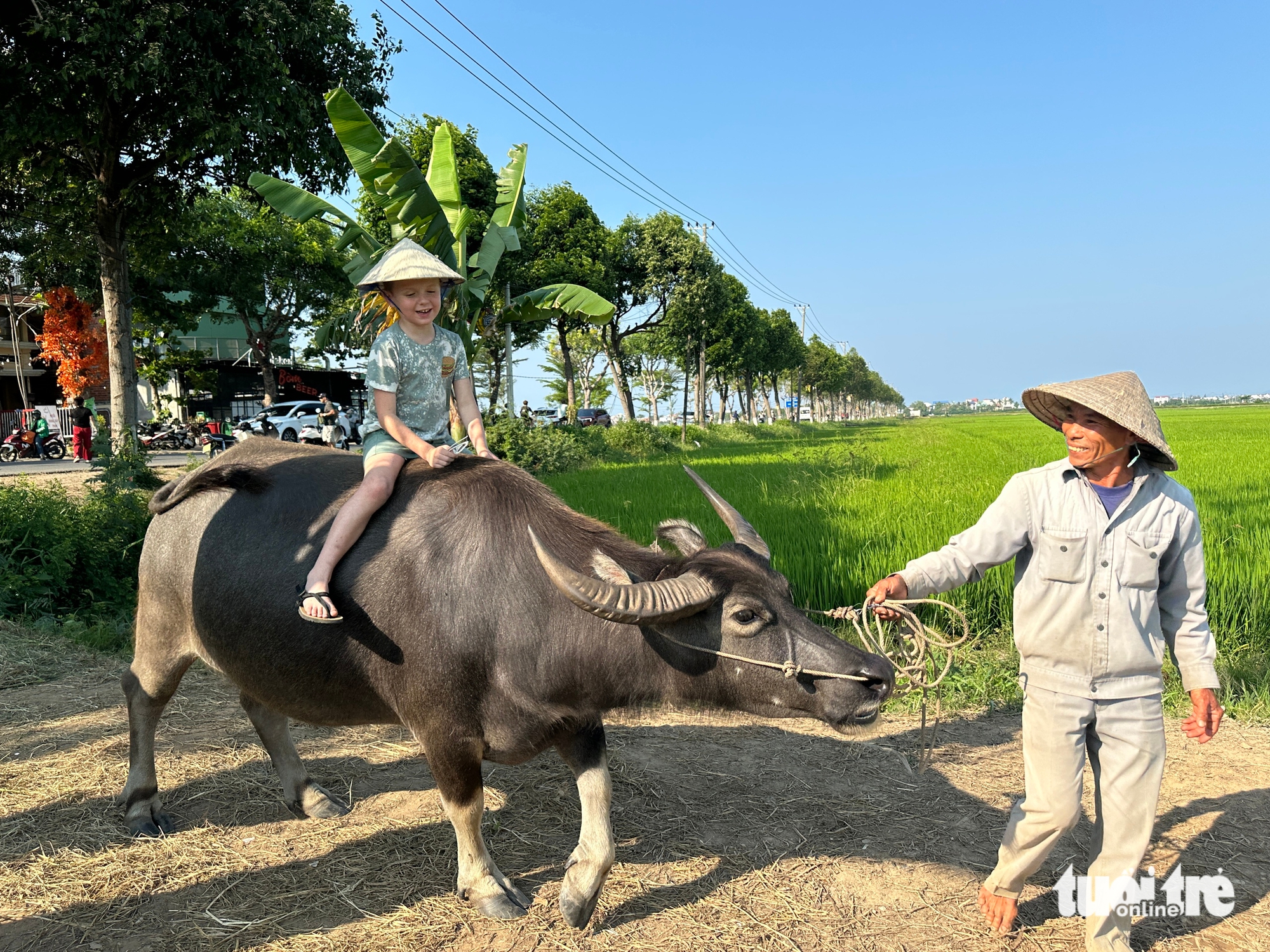 cưỡi trâu - Ảnh 1.