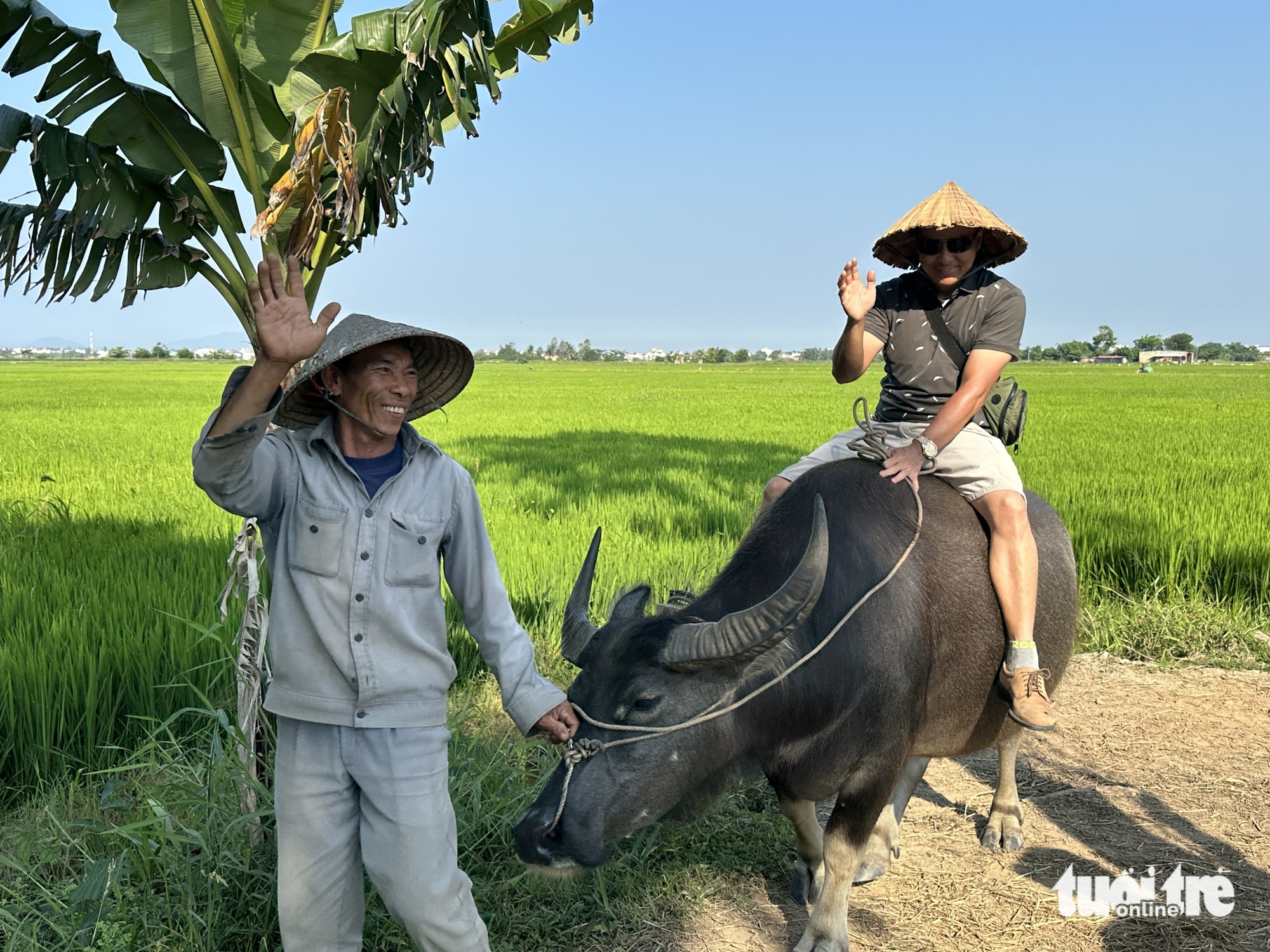 cưỡi trâu - Ảnh 3.