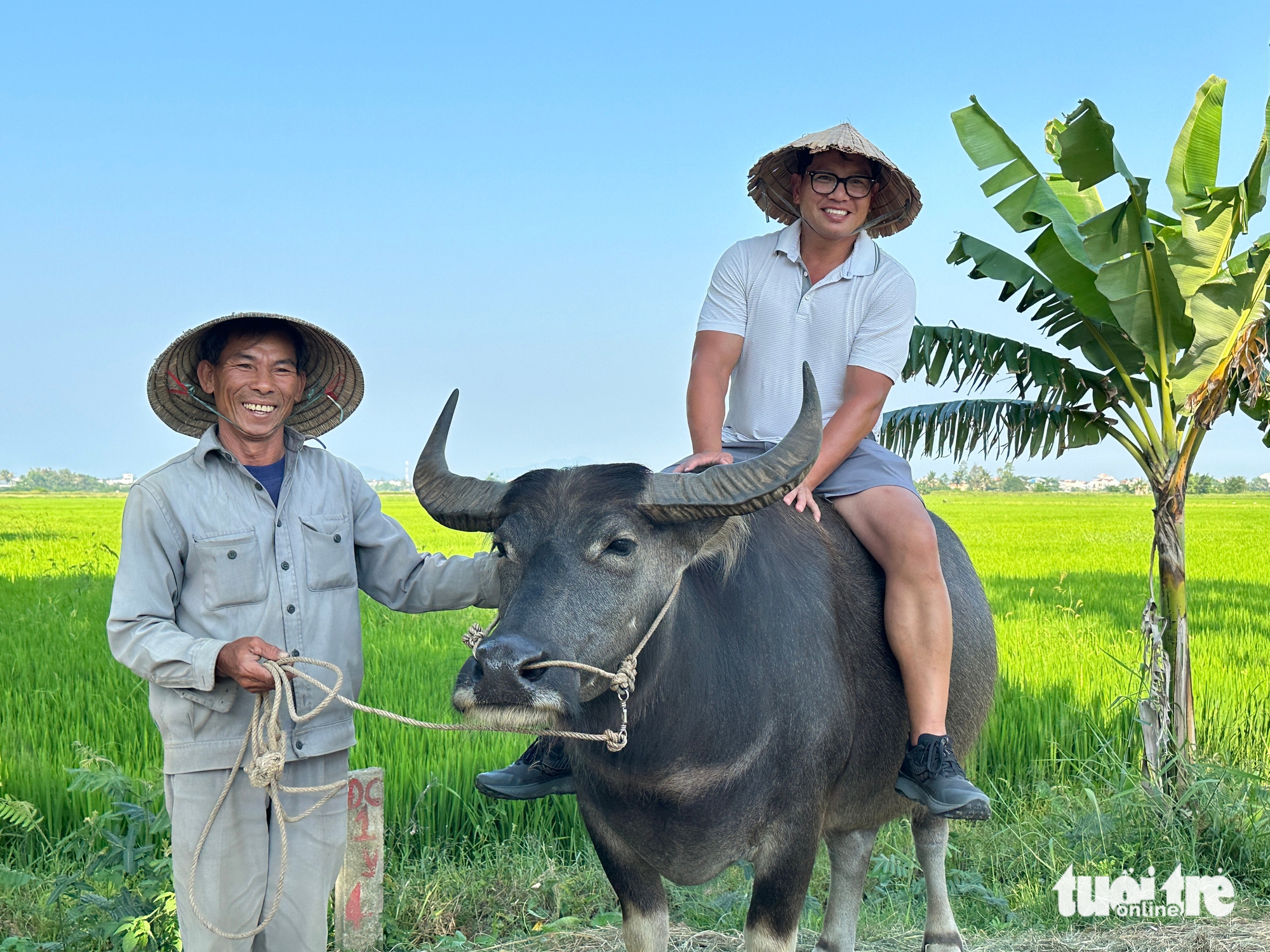 cưỡi trâu - Ảnh 7.