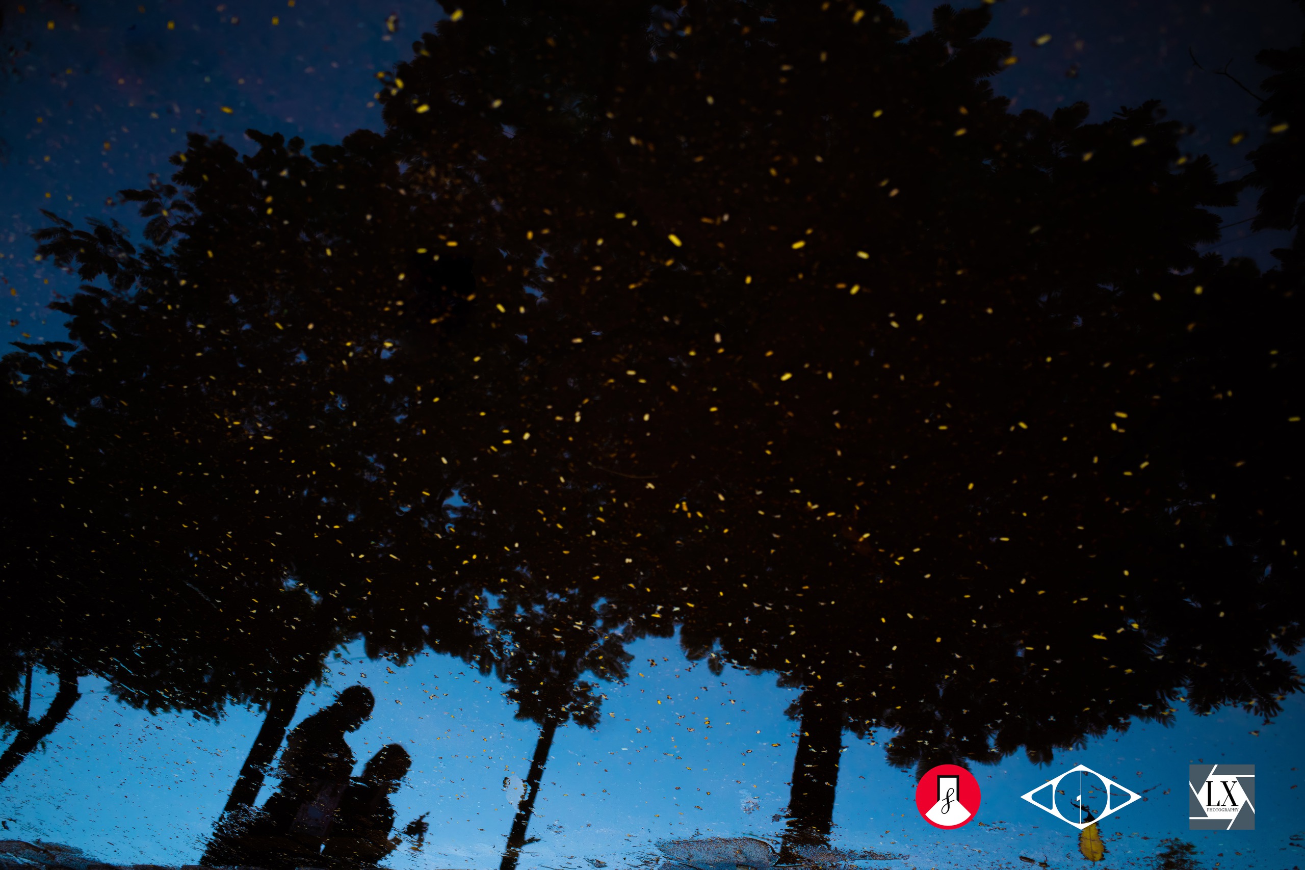 Ảnh chụp Hà Nội, mang vào TP.HCM người ta mới xem - Ảnh 6.