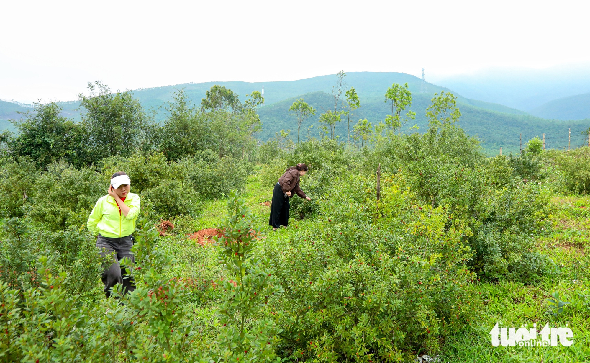 dãy Hoành Sơn - Ảnh 4.