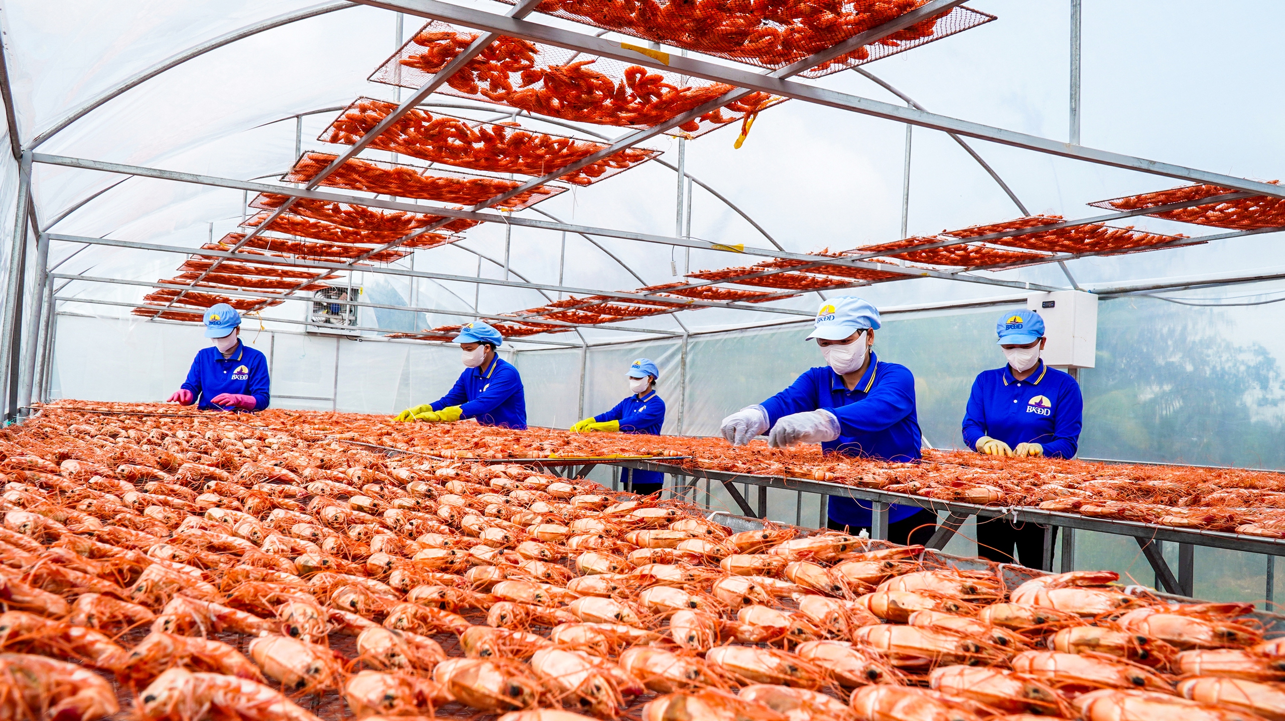 DOANH NGHIỆP - Ảnh 1.