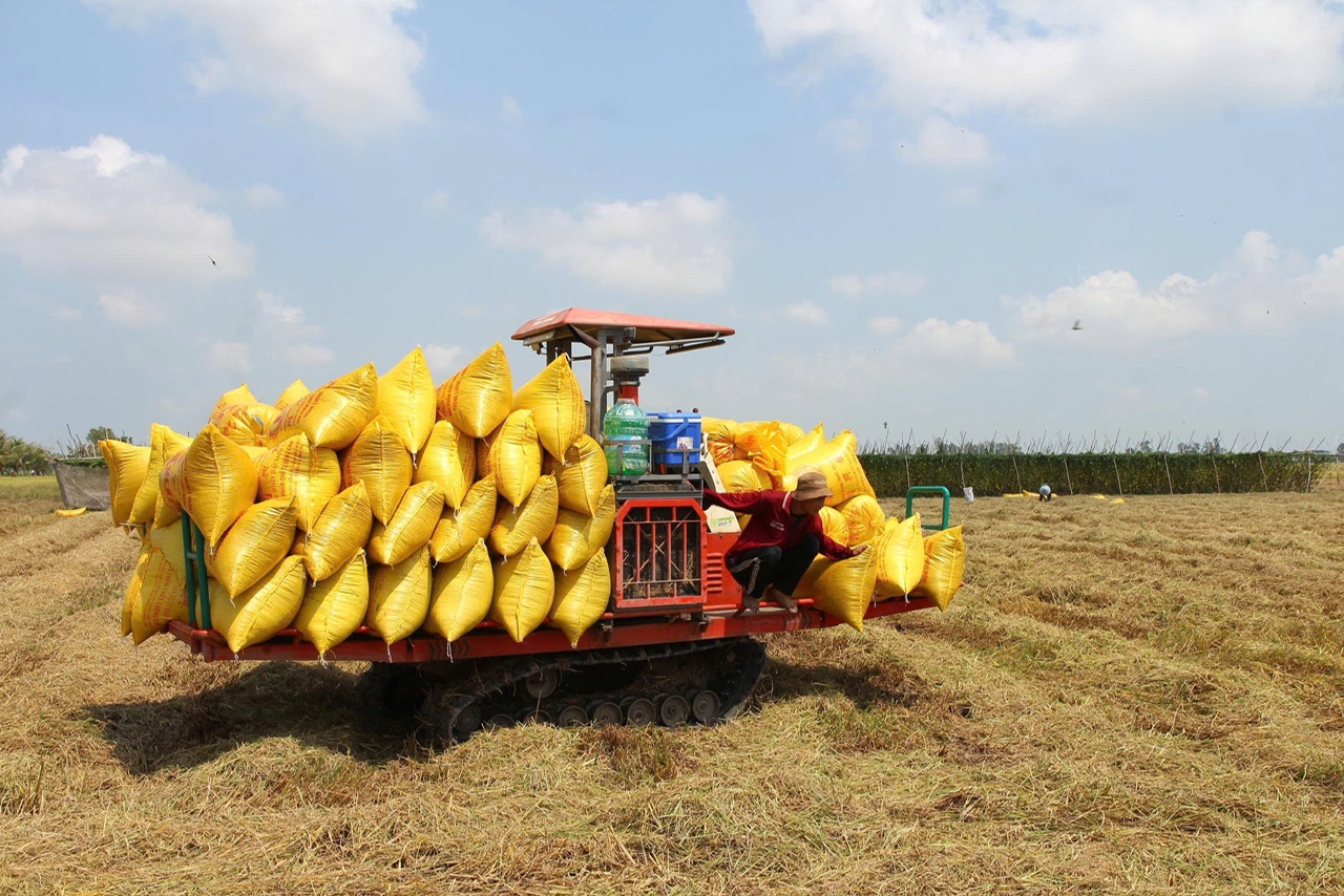 miền tây - Ảnh 1.