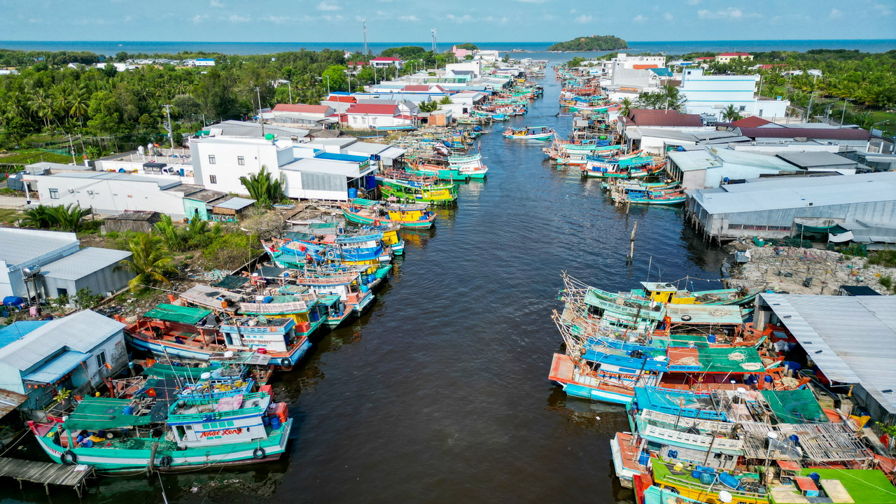 Nông dân miền Tây xoay xở với chi phí tăng - Ảnh 2.