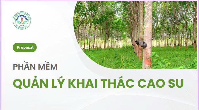 tập đoàn Công nghiệp Cao su Việt Nam - Ảnh 2.