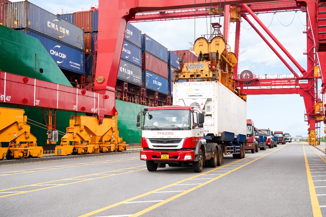 THILOGI - Ảnh 3.
