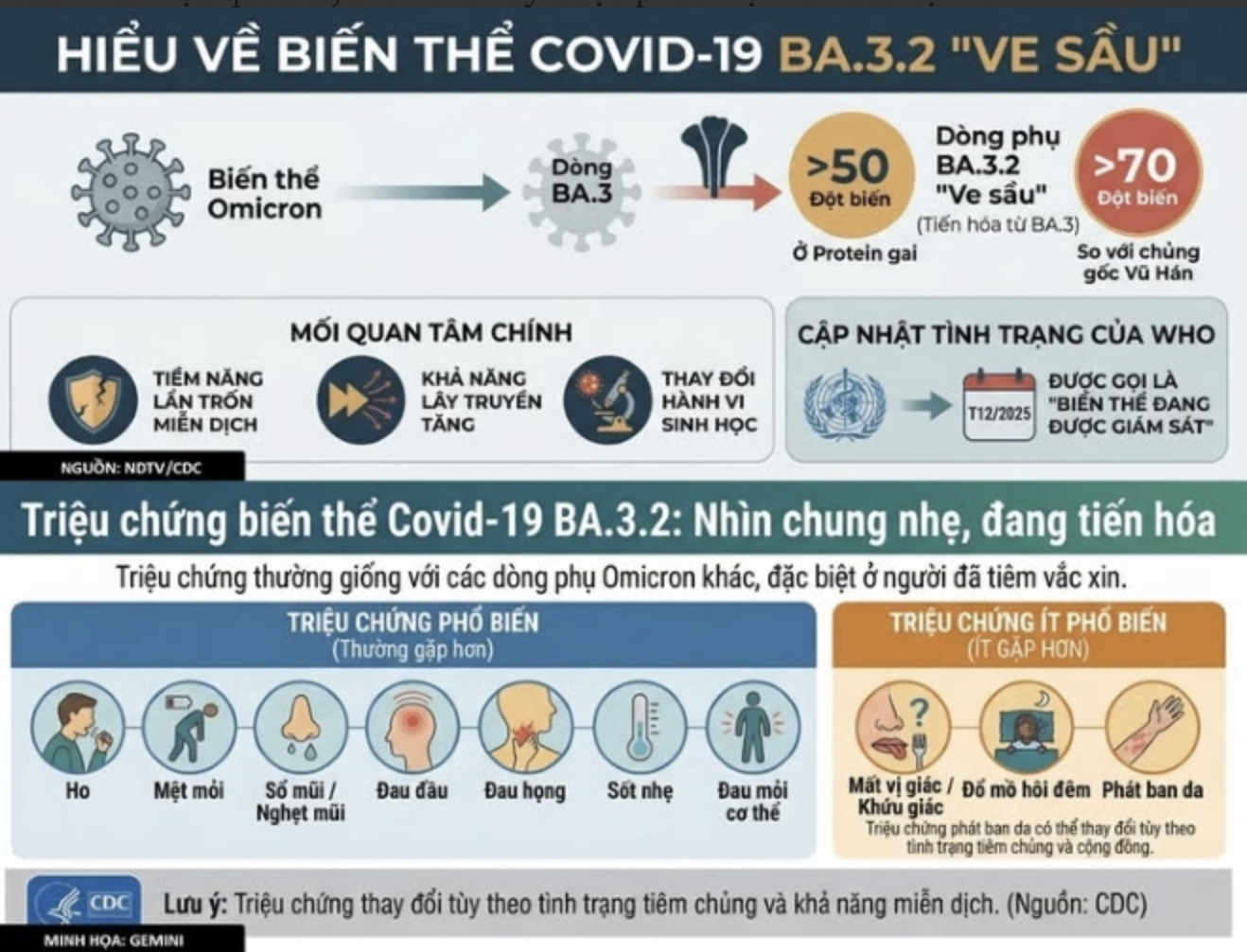 COVID-19 - Ảnh 1.