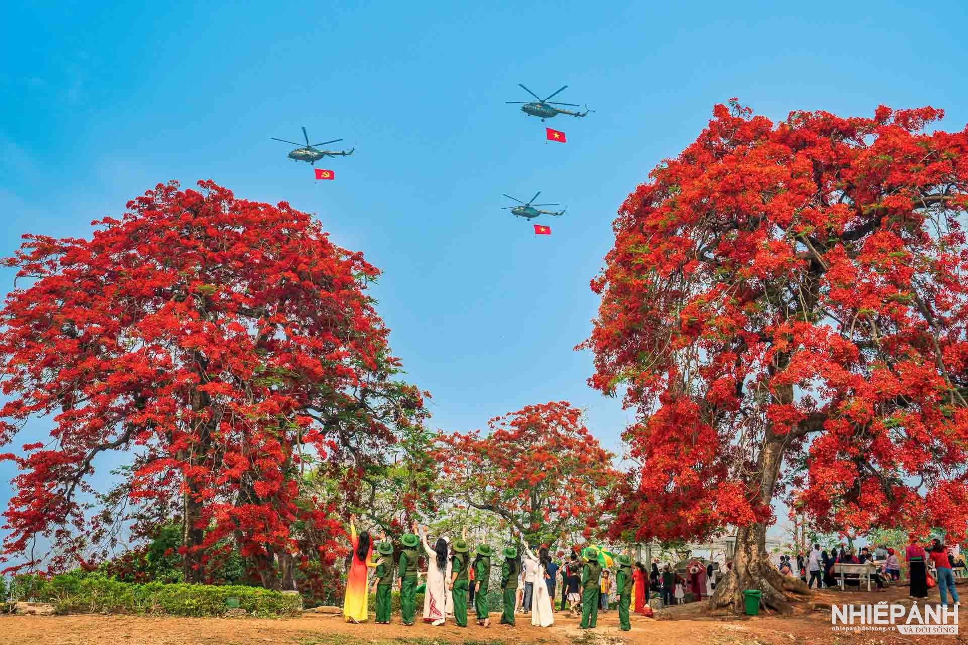 thi ảnh - Ảnh 1.