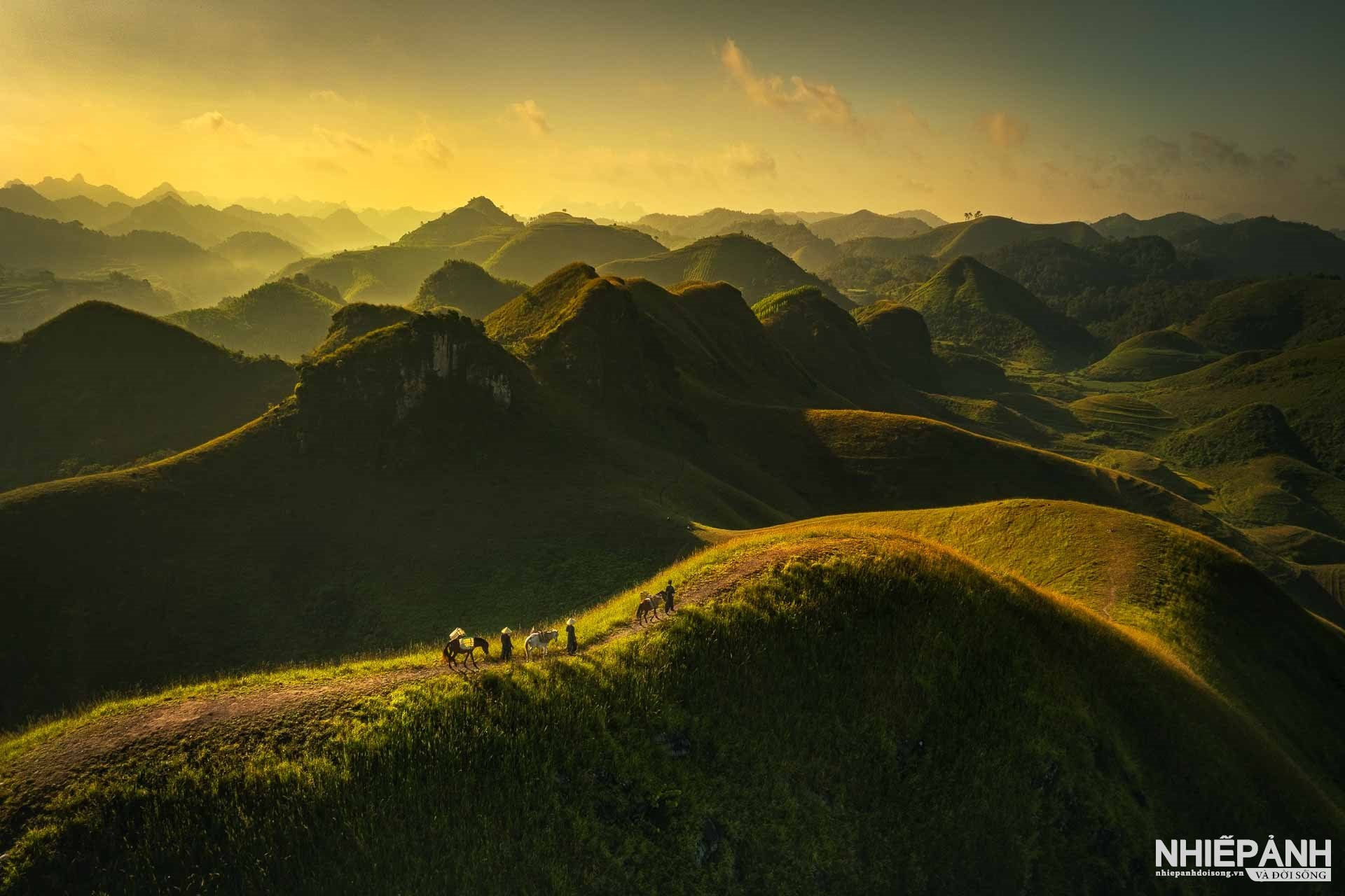 thi ảnh - Ảnh 5.