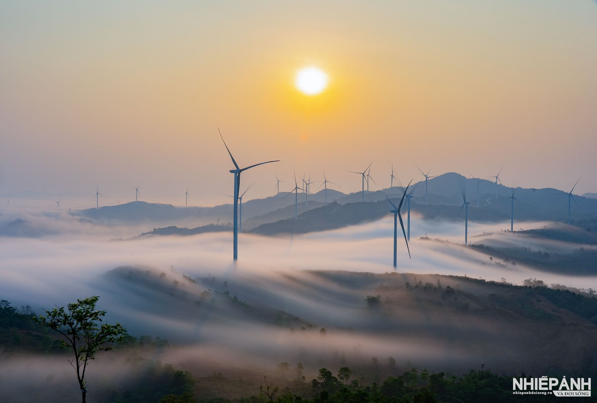 thi ảnh - Ảnh 6.