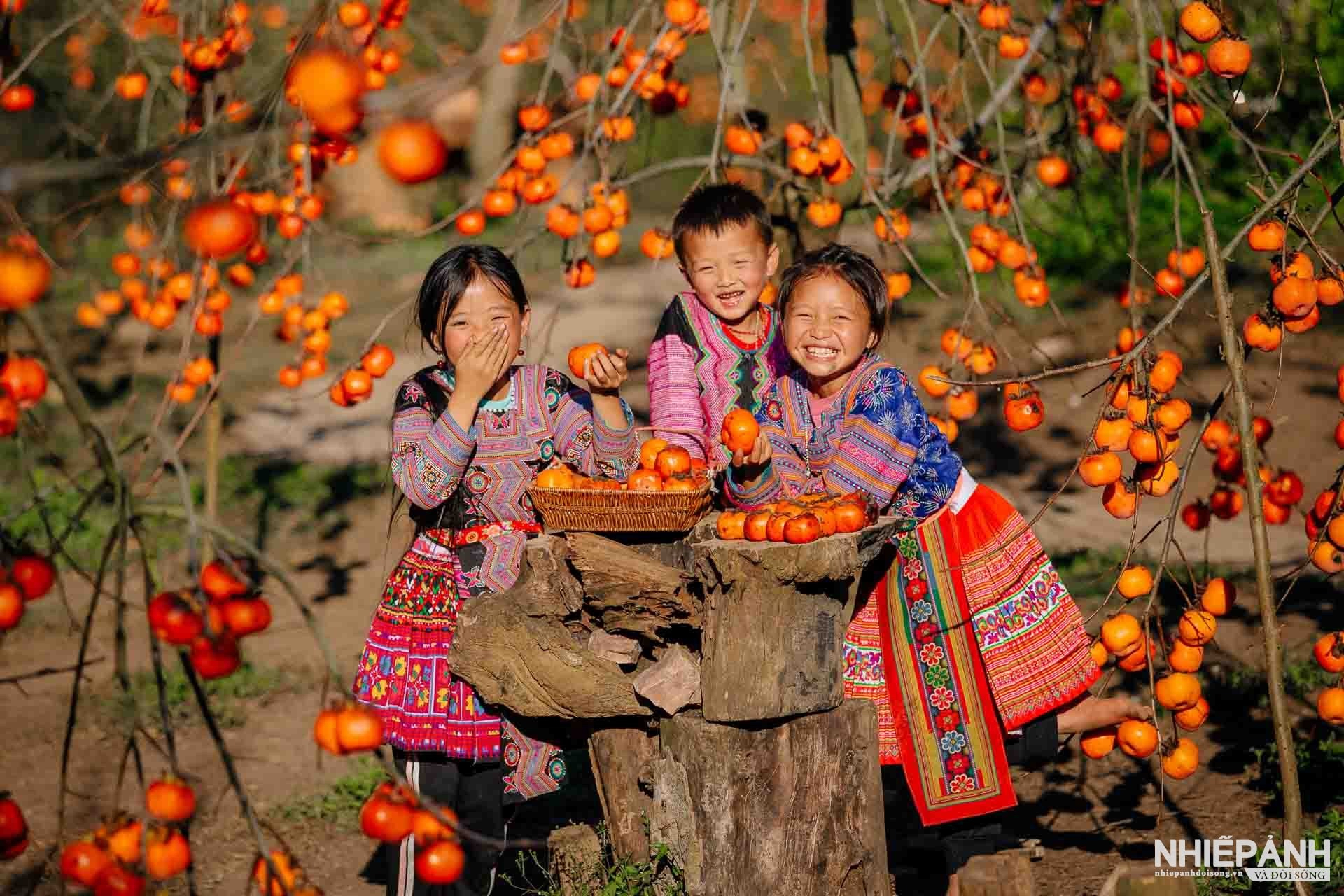 thi ảnh - Ảnh 4.