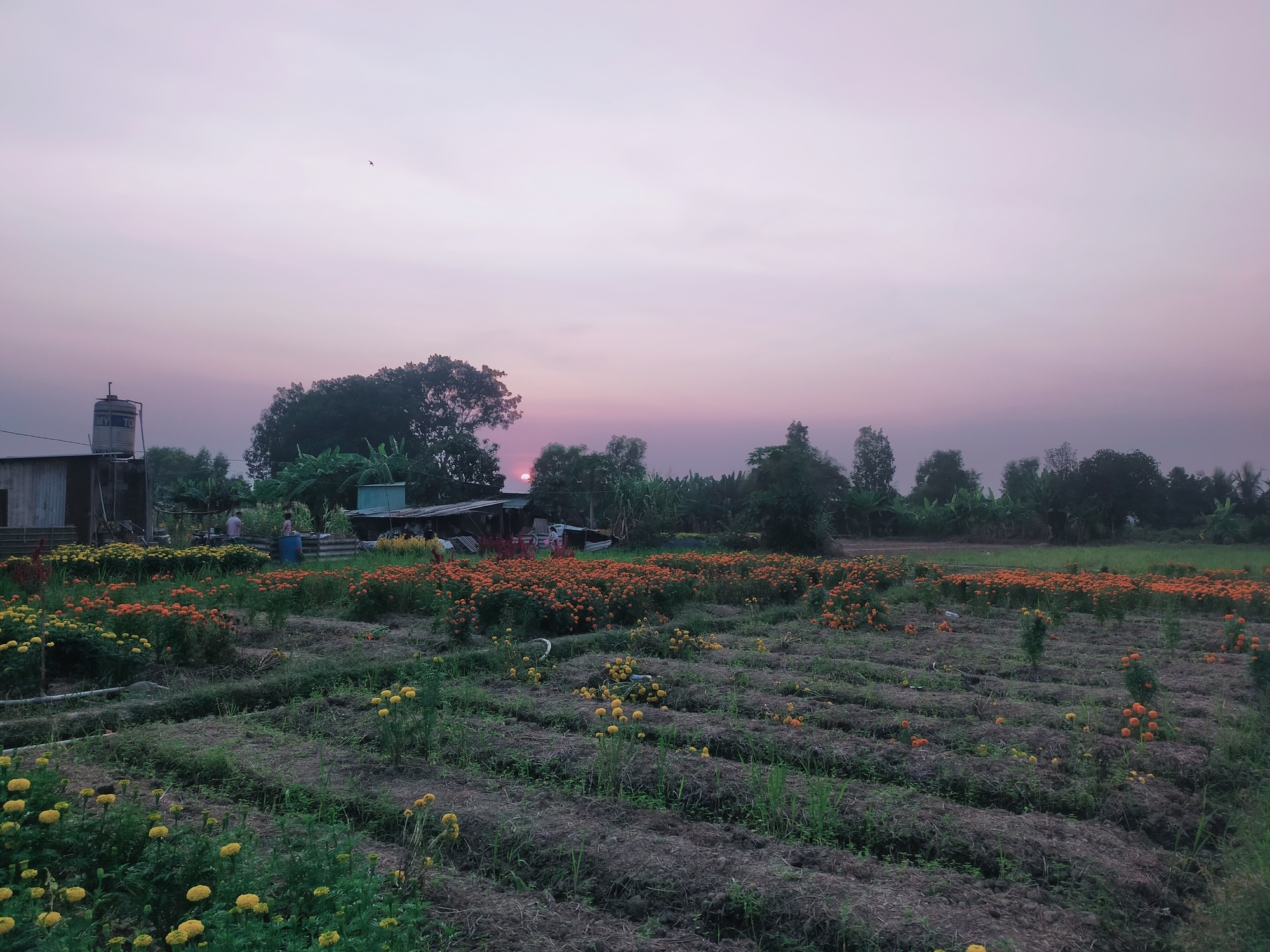 tuổi xanh - Ảnh 5.