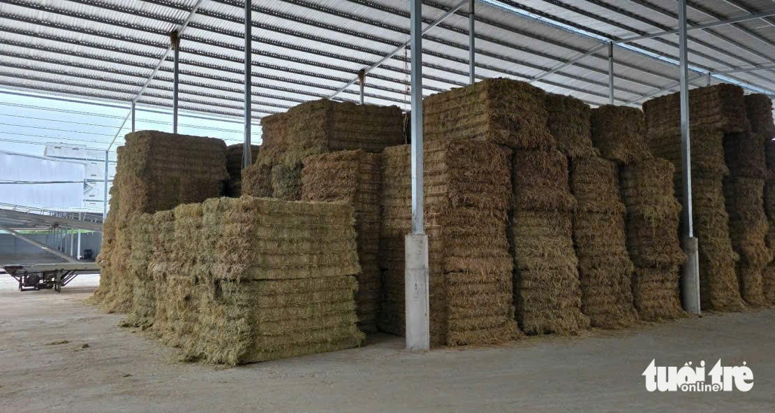 Thu mua rơm làm 50.000-60.000 tấn 'bánh rơm' vừa cho chăn nuôi, vừa bảo ...