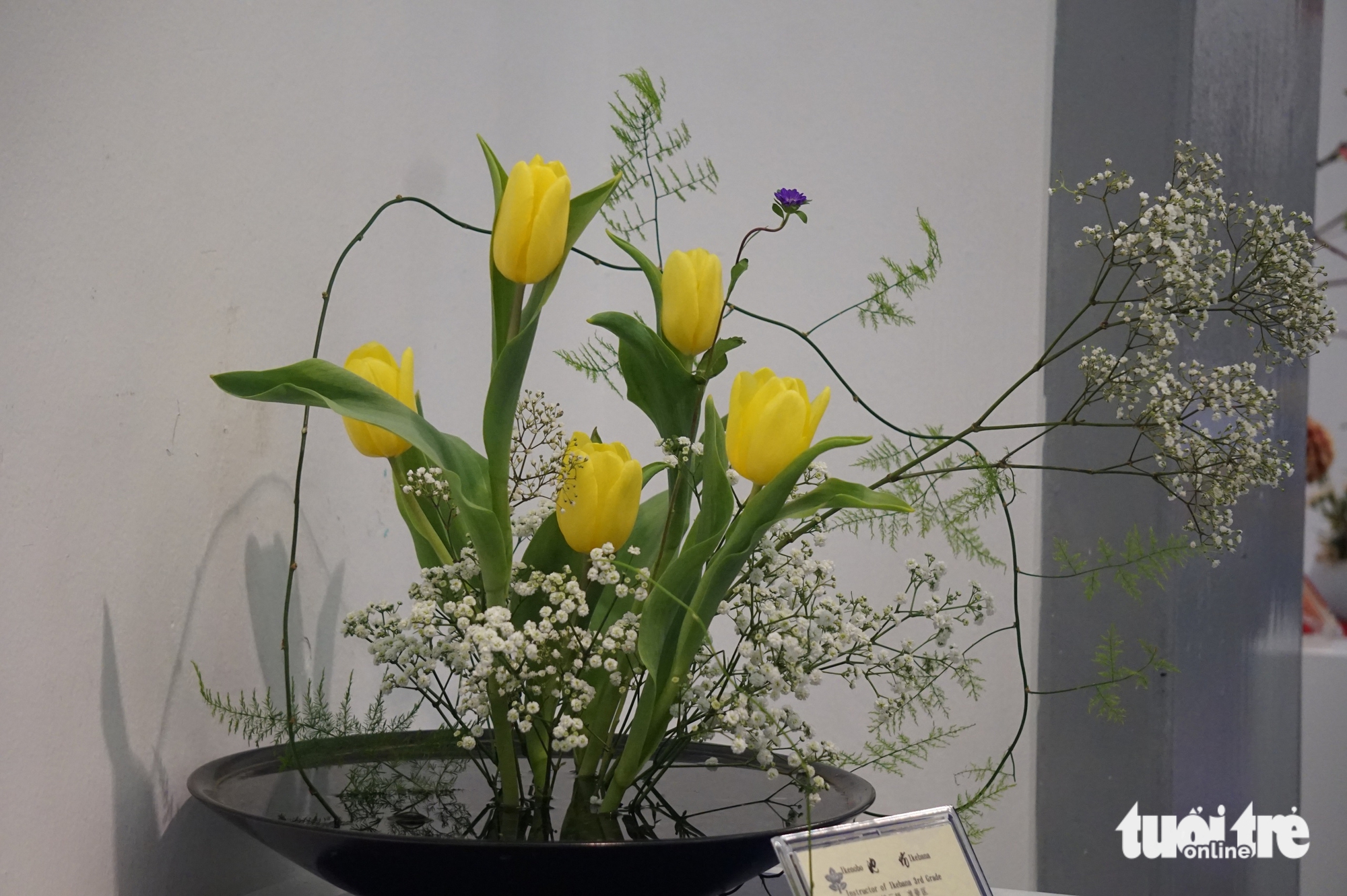 hoa đạo Nhật Bản - Ảnh 5.