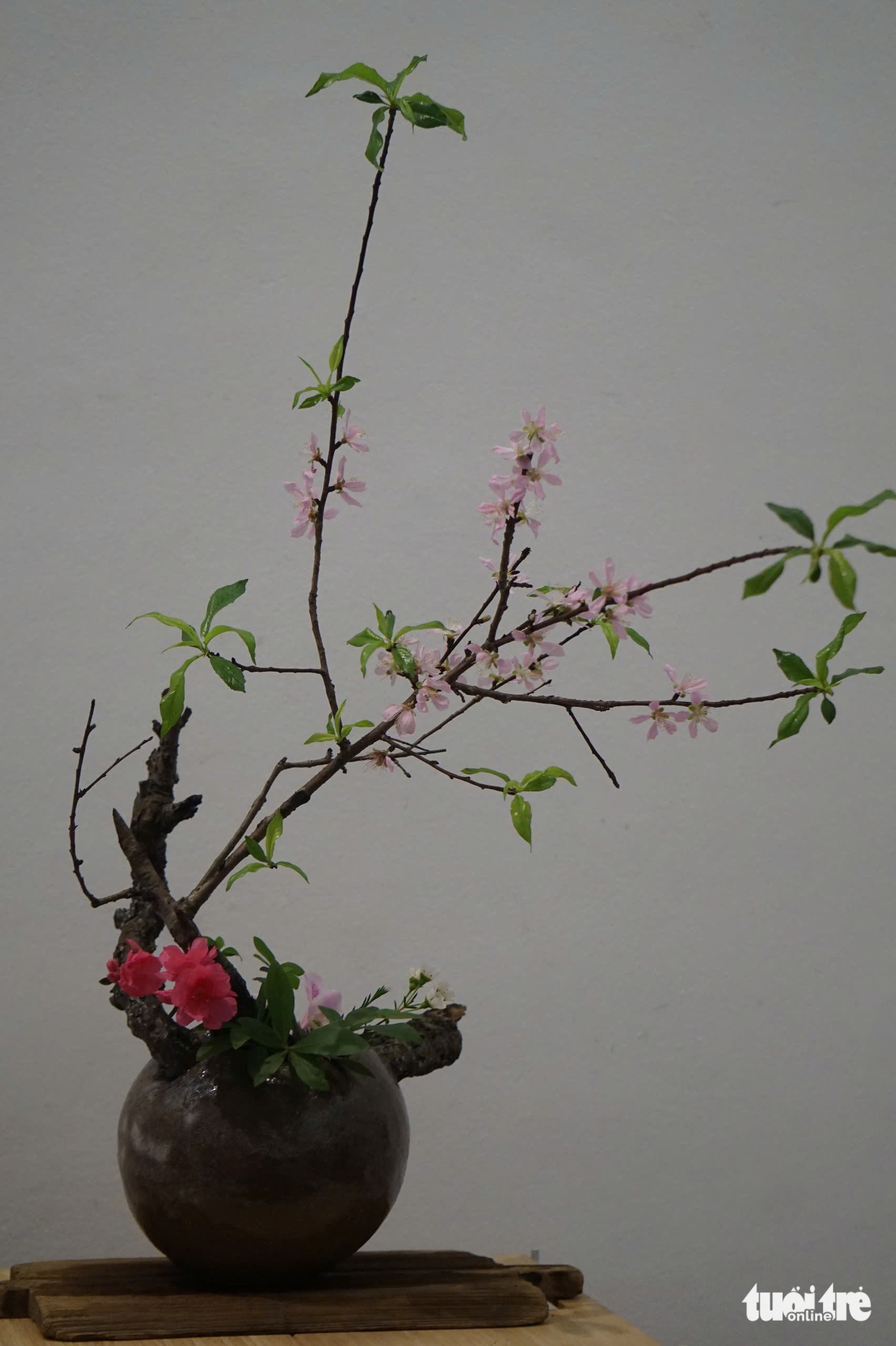 hoa đạo Nhật Bản - Ảnh 6.