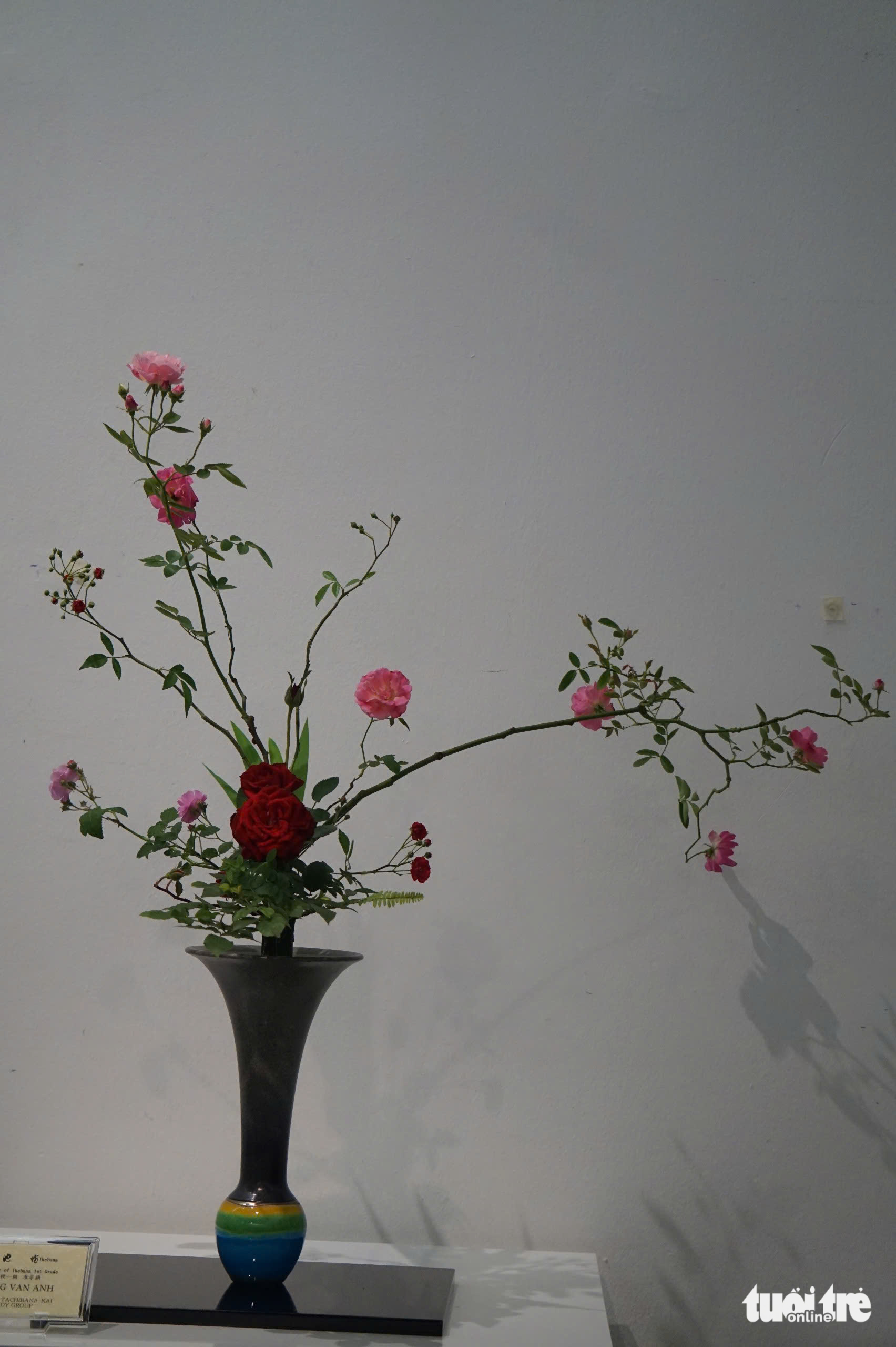 hoa đạo Nhật Bản - Ảnh 7.