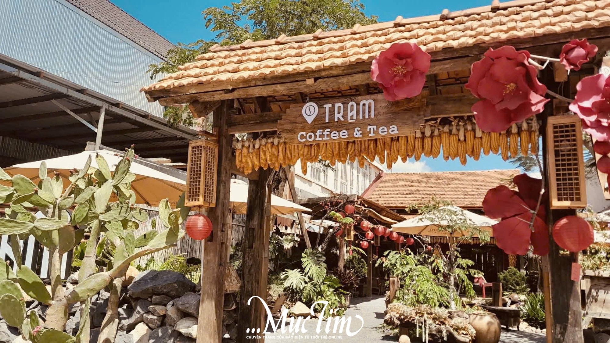 Ghé 3 quán cà phê nhỏ xinh ở Đức Trọng, Lâm Đồng cho ngày muốn ‘sống chậm’ - Ảnh 1.