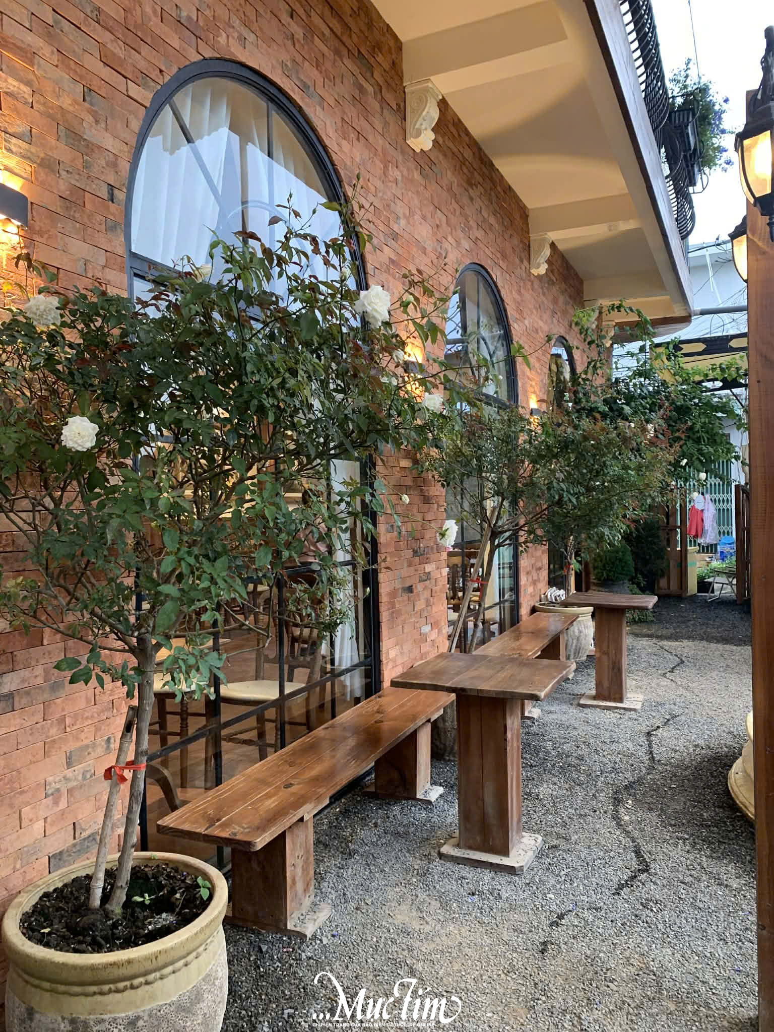 Ghé 3 quán cà phê nhỏ xinh ở Đức Trọng, Lâm Đồng cho ngày muốn ‘sống chậm’ - Ảnh 11.