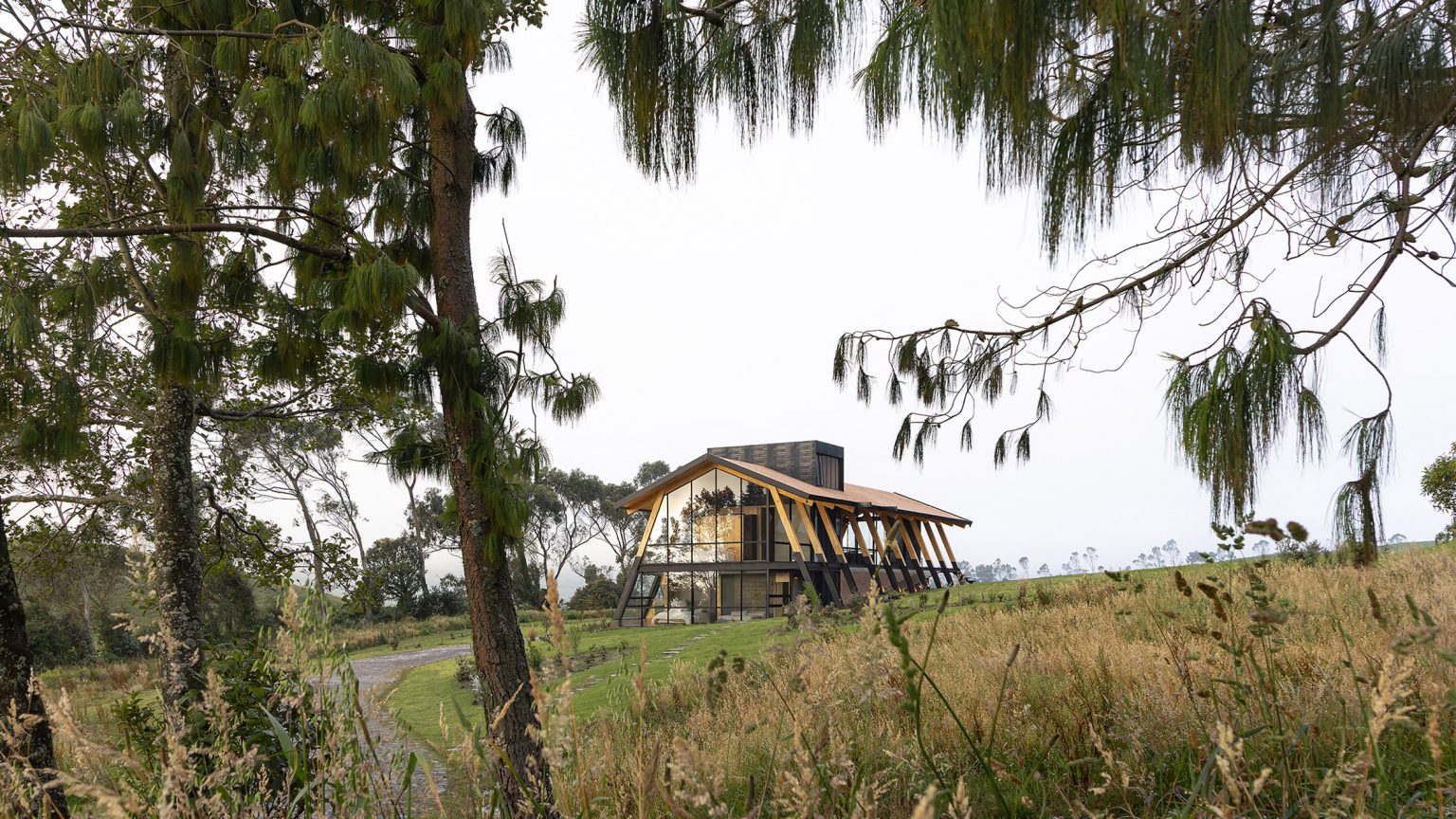 ngôi nhà - Ảnh 1.