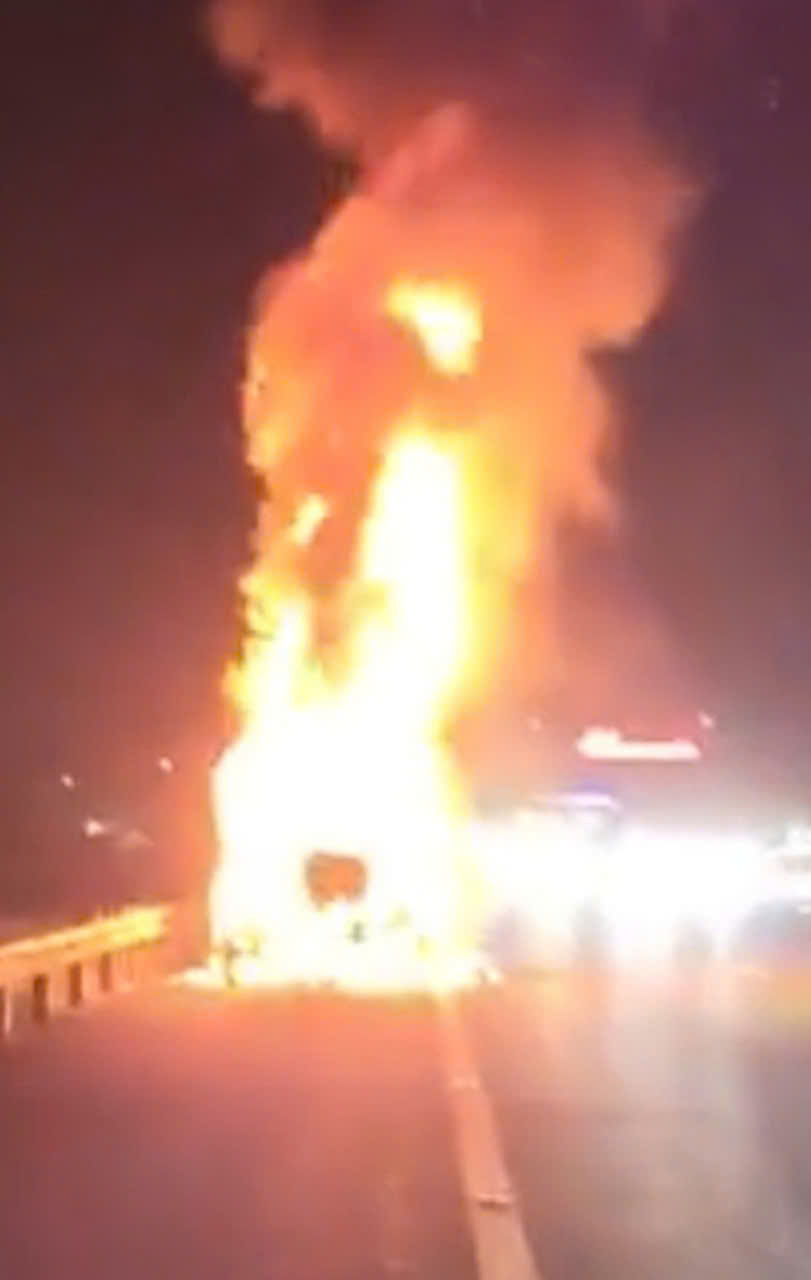 Xe container bốc cháy dữ dội trên cao tốc TP.HCM - Trung Lương - Ảnh 1.