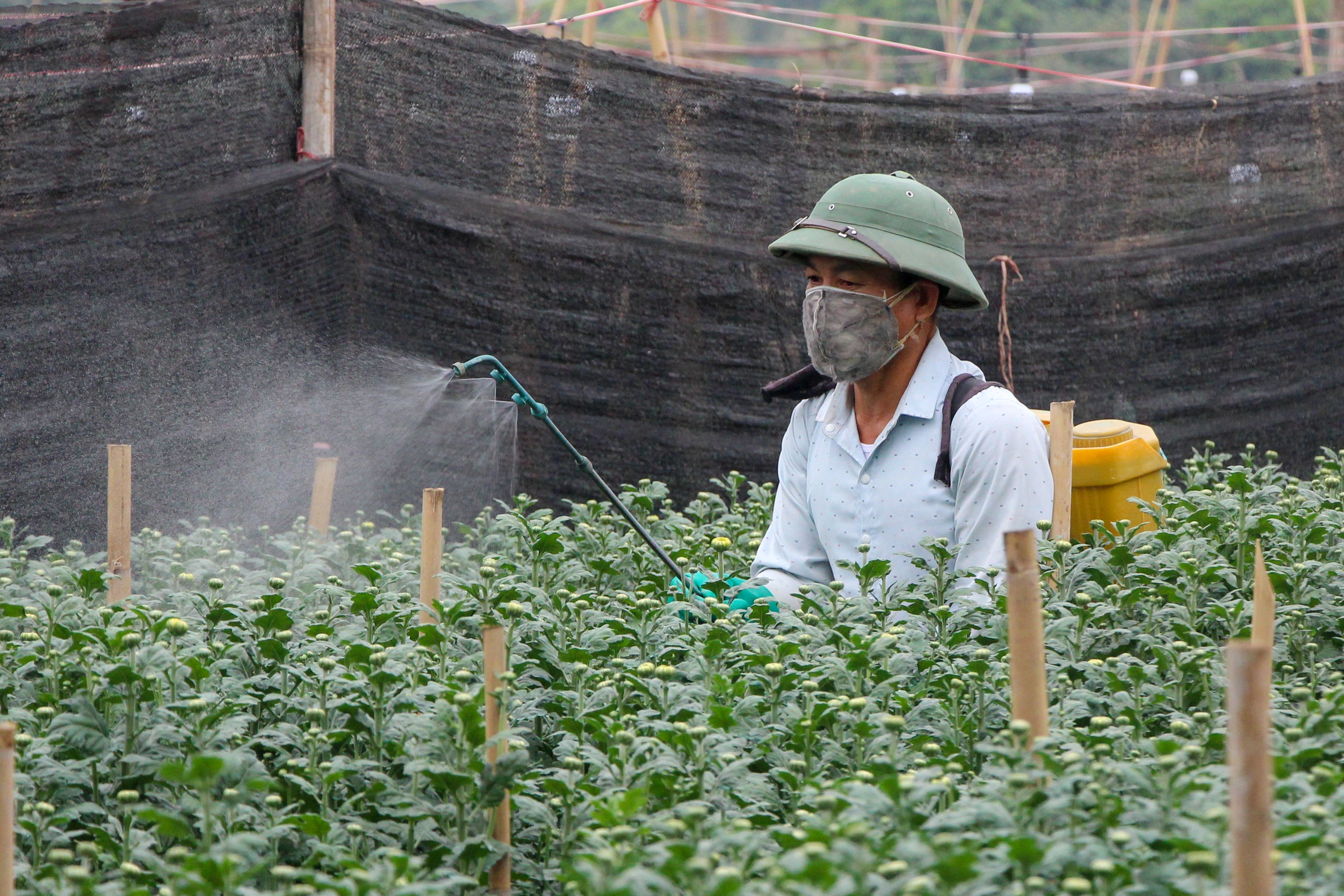 tăng lương - Ảnh 2.